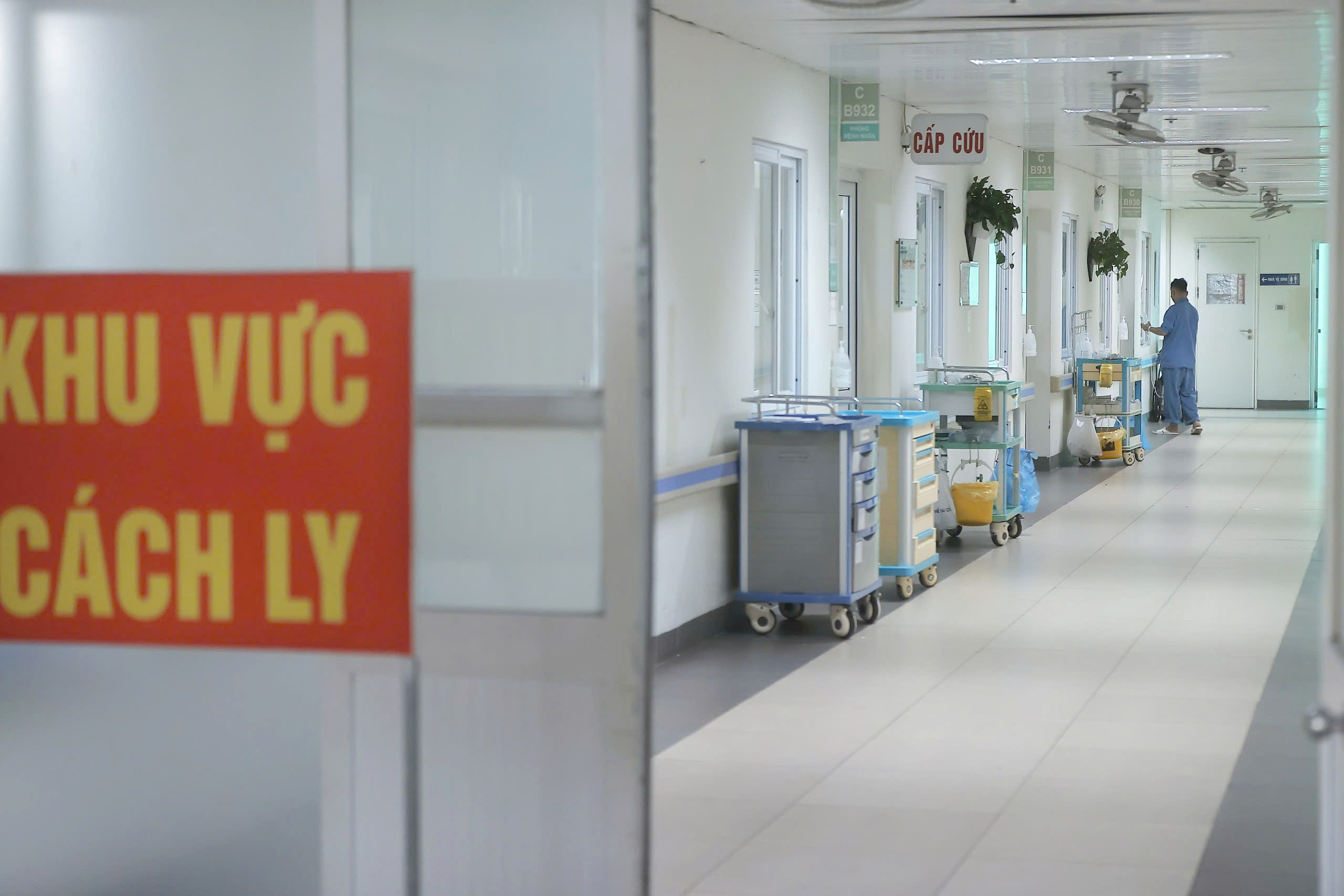 Ngừa Lây Nhiễm Vi Rút Nipah Từ Động Vật, Thực Phẩm Ô Nhiễm - Ảnh 1.