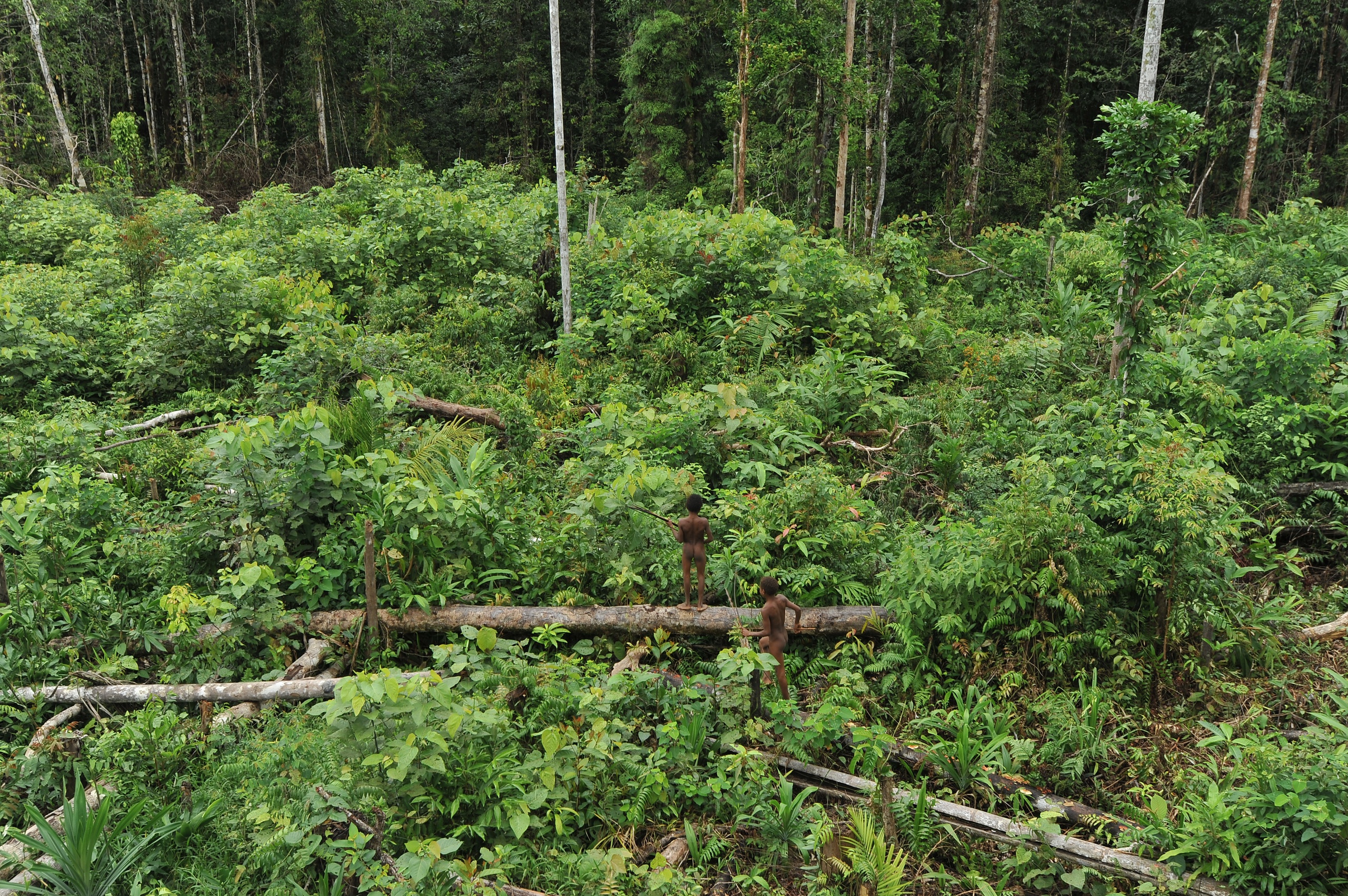 Trong cõi không ở nơi tận cùng thế giới - Ảnh 10.