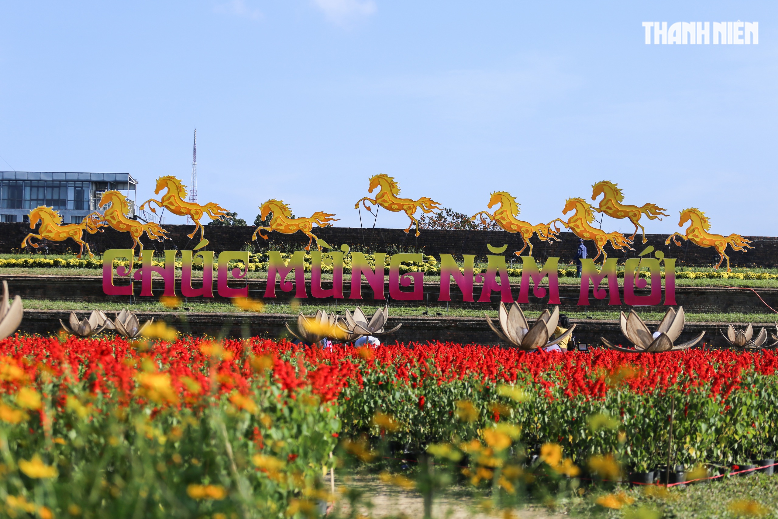 Ngắm đ&oacute;a sen khổng lồ kết từ 50.000 chậu hoa khoe sắc b&ecirc;n kinh th&agrave;nh Huế- Ảnh 9.