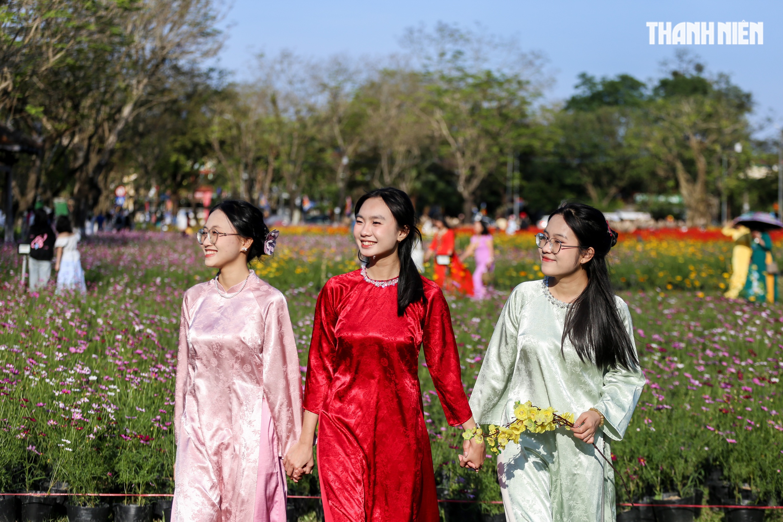 Ngắm đ&oacute;a sen khổng lồ kết từ 50.000 chậu hoa khoe sắc b&ecirc;n kinh th&agrave;nh Huế- Ảnh 1.