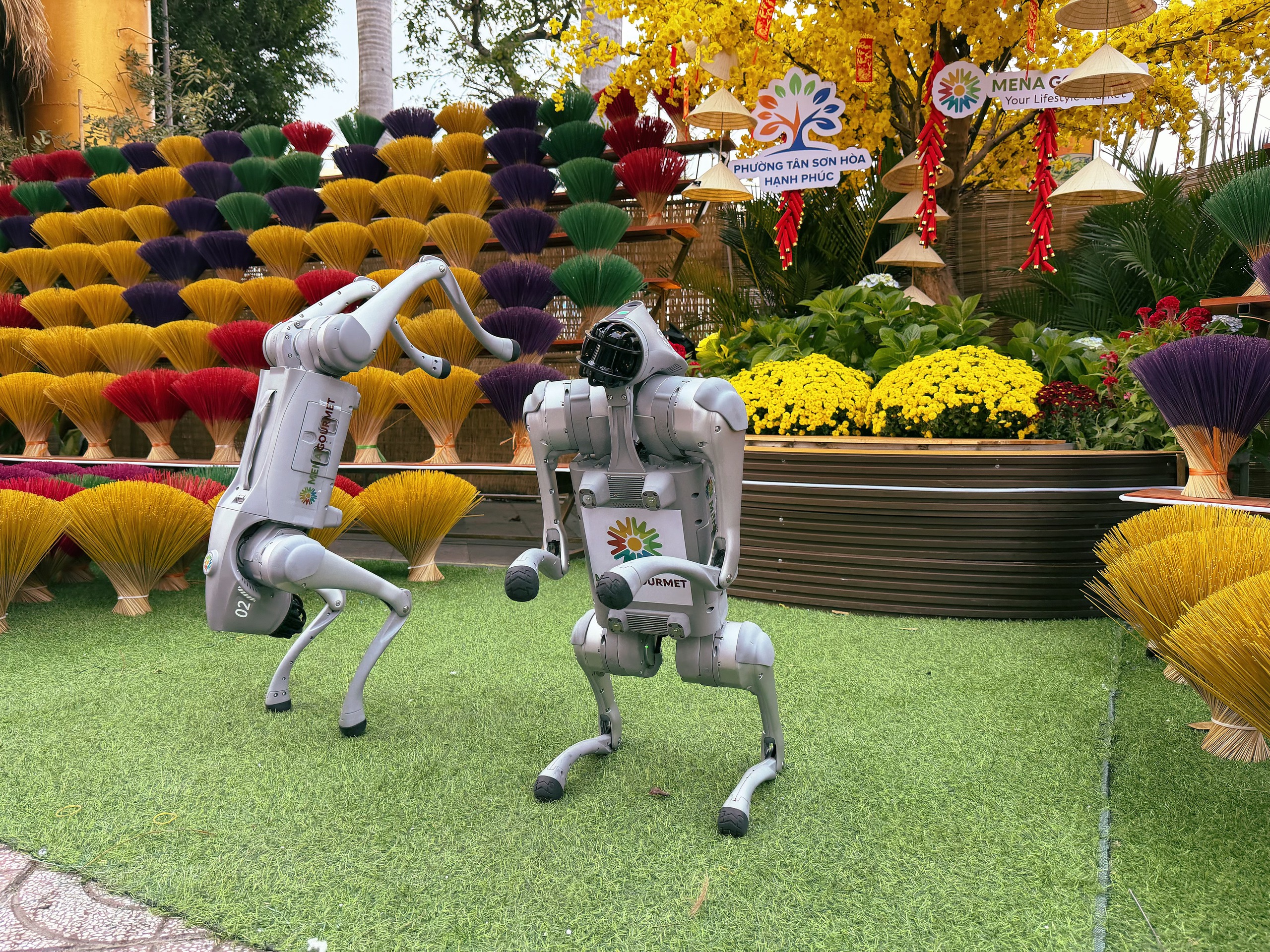 Đường hoa 5 tỉ đồng tại cửa ngõ sân bay Tân Sơn Nhất có gì?- Ảnh 8.