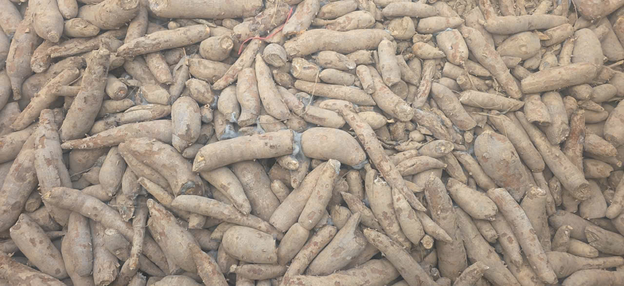 Phó Thủ tướng chỉ đạo khẩn gỡ vướng mắc thông quan nông sản tại Tây Ninh - Ảnh 2.