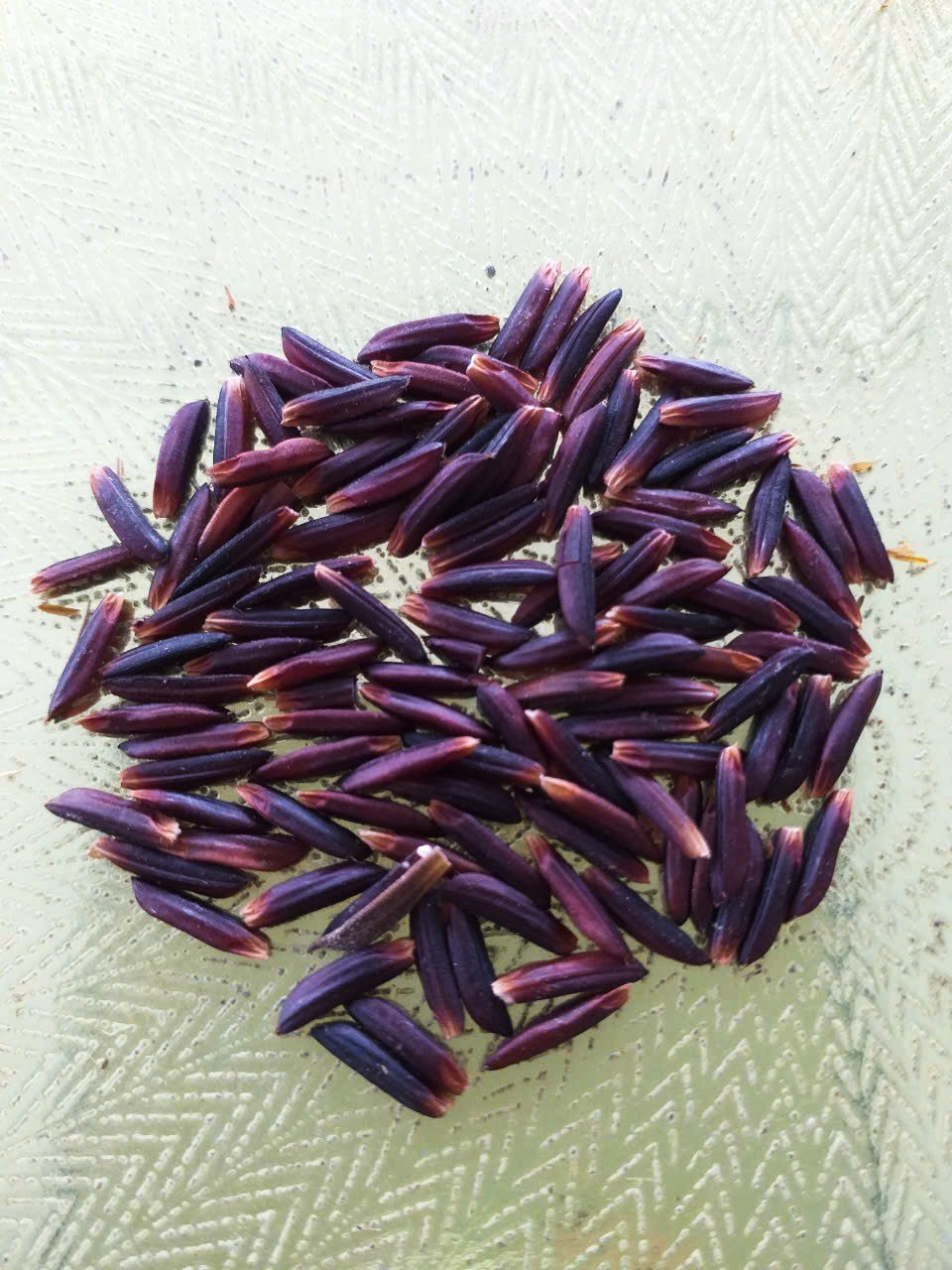 H&agrave;nh tr&igrave;nh hồi sinh gạo đỏ đặc sản miền T&acirc;y - Ảnh 3.