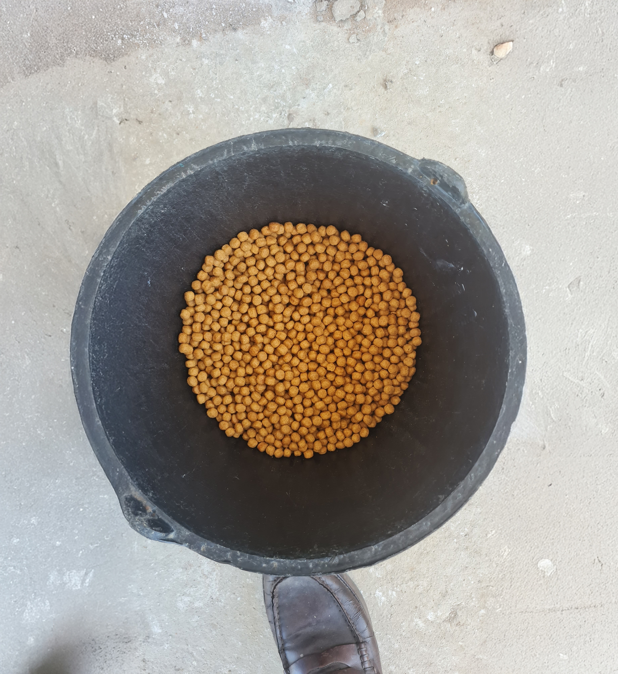 'Bảo mẫu' của sếu đầu đỏ- Ảnh 4.