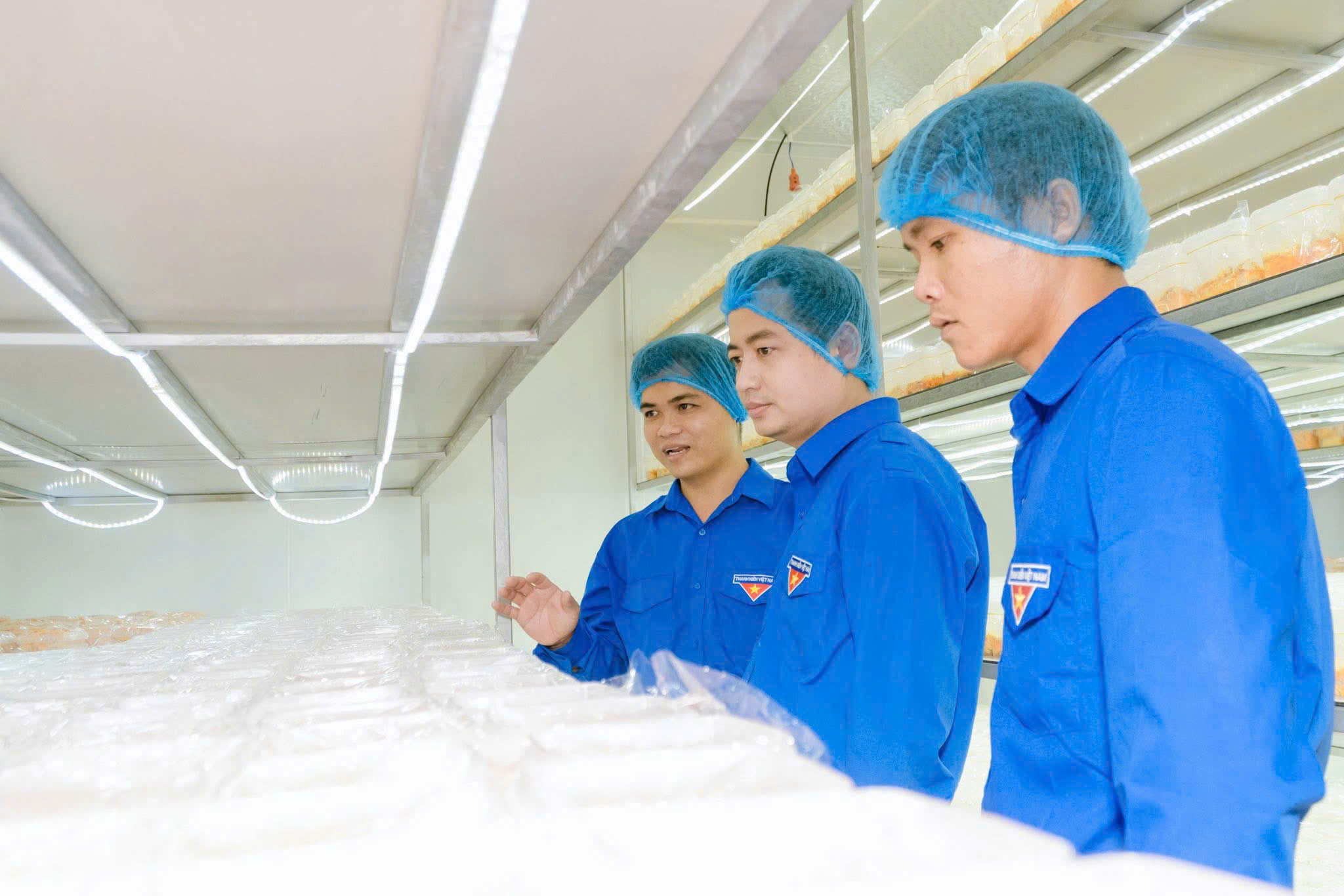 Thạc sĩ l&agrave;m n&ocirc;ng thời c&ocirc;ng nghệ: Thiết kế kh&iacute; hậu để nu&ocirc;i trồng nấm... kh&oacute; t&iacute;nh - Ảnh 3.