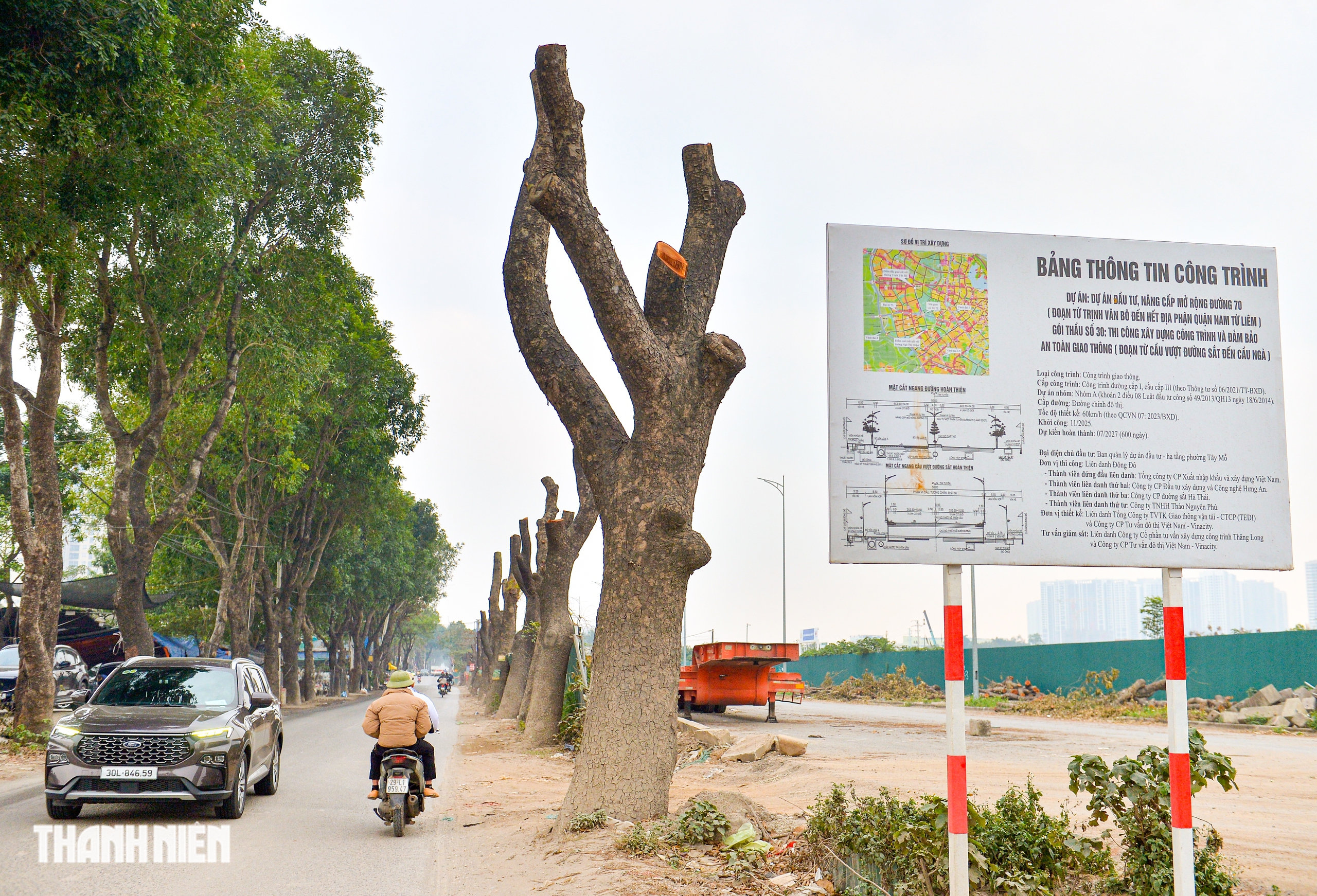 H&agrave; Nội: H&agrave;ng x&agrave; cừ cổ thụ bị cưa phục vụ dự &aacute;n đường gần 3.400 tỉ - Ảnh 15.