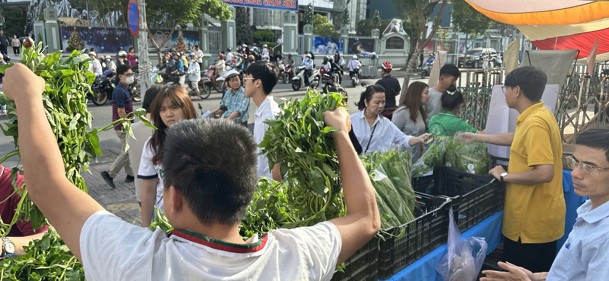 Rau sạch 'ch&aacute;y h&agrave;ng' giữa TP.HCM, từ vườn qu&ecirc; l&ecirc;n b&agrave;n ăn cuối tuần- Ảnh 1.