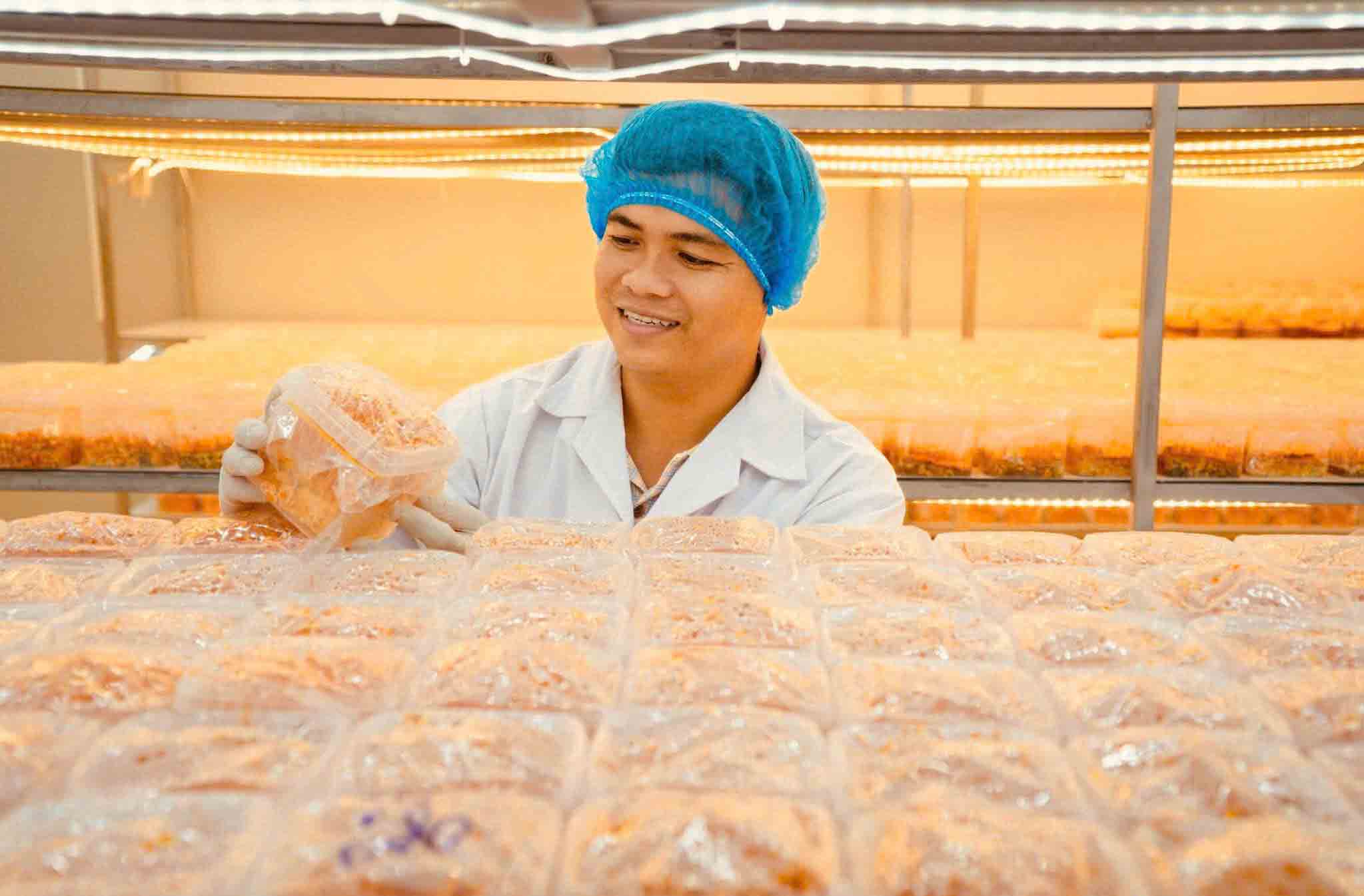 Thạc sĩ l&agrave;m n&ocirc;ng thời c&ocirc;ng nghệ: Thiết kế kh&iacute; hậu để nu&ocirc;i trồng nấm... kh&oacute; t&iacute;nh- Ảnh 1.