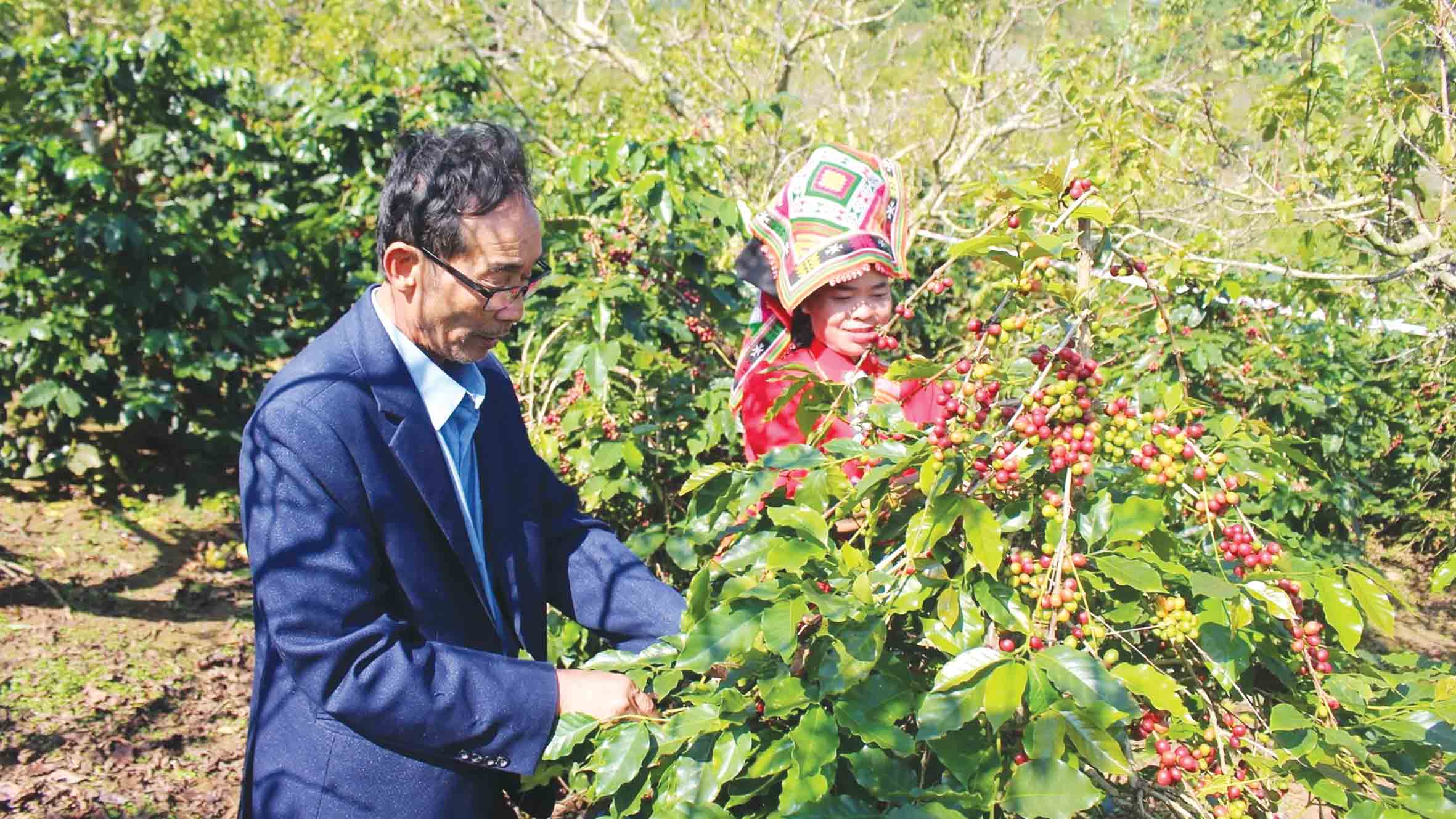 An sinh xã hội - “điểm tựa” vững chắc cho hàng triệu người dân - Ảnh 2.