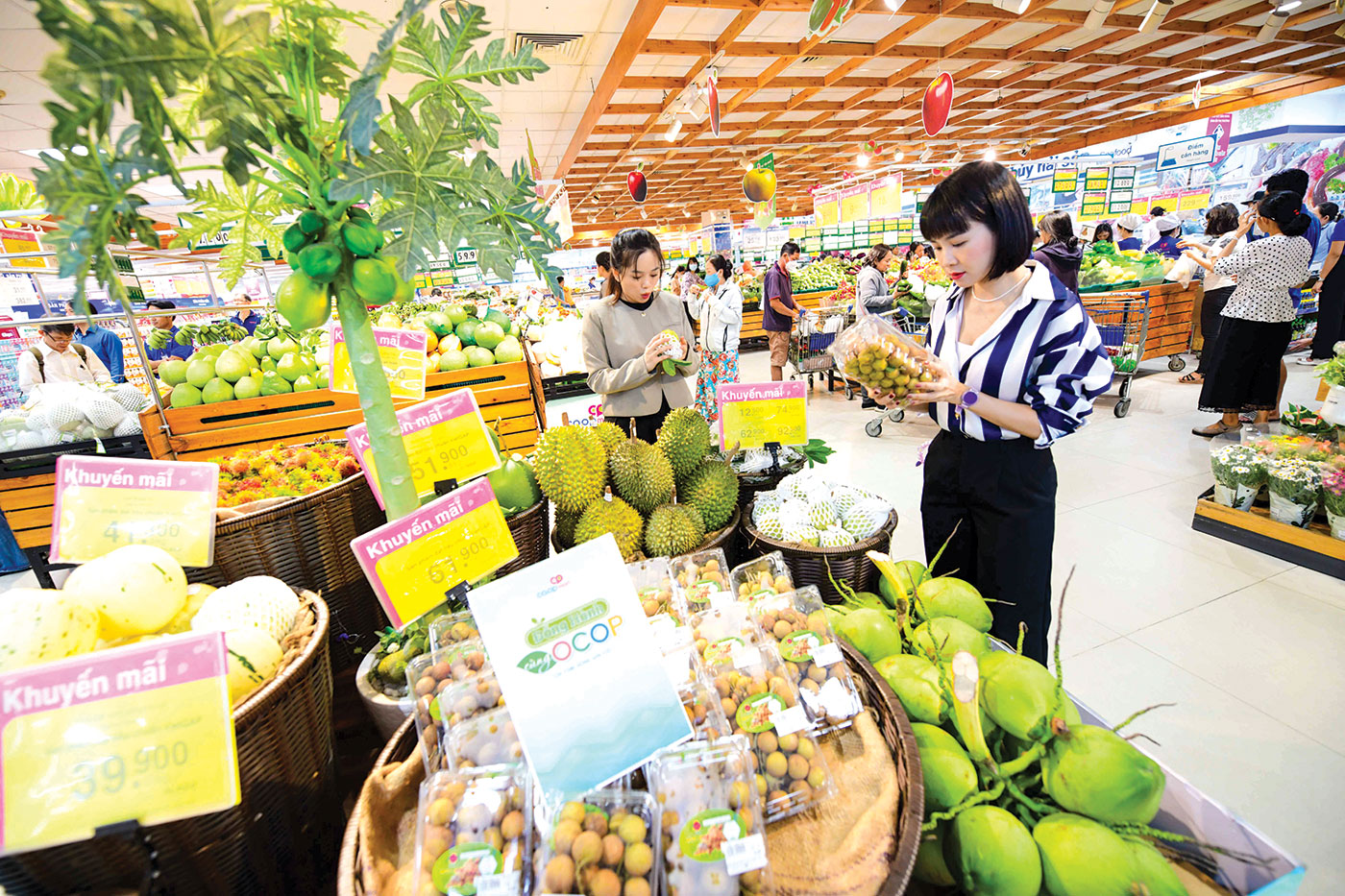 Saigon Co.op khẳng định vai trò trụ cột của bán lẻ nội địa - Ảnh 1.