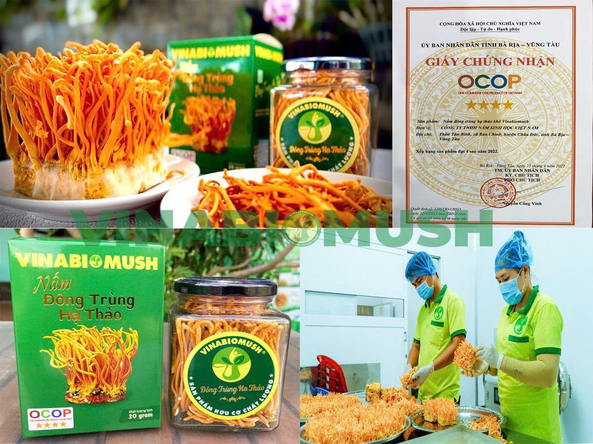 Thạc sĩ l&agrave;m n&ocirc;ng thời c&ocirc;ng nghệ: Thiết kế kh&iacute; hậu để nu&ocirc;i trồng nấm... kh&oacute; t&iacute;nh - Ảnh 1.