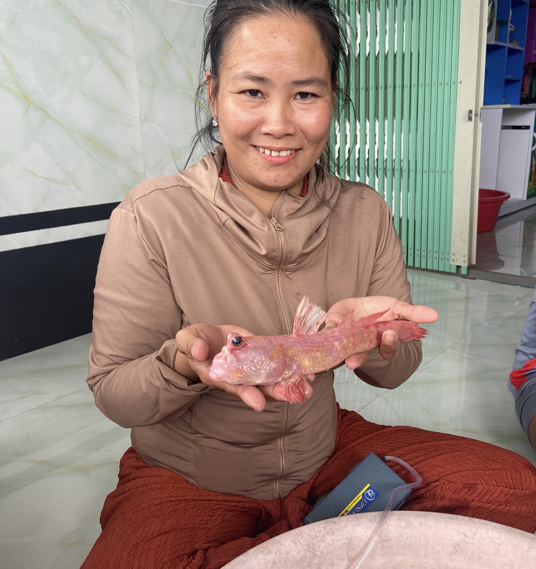 Chuyện lạ miền T&acirc;y:Bắt được c&aacute; th&ograve;i l&ograve;i hồng hiếm gặp g&acirc;y x&ocirc;n xao cộng đồng mạng - Ảnh 2.