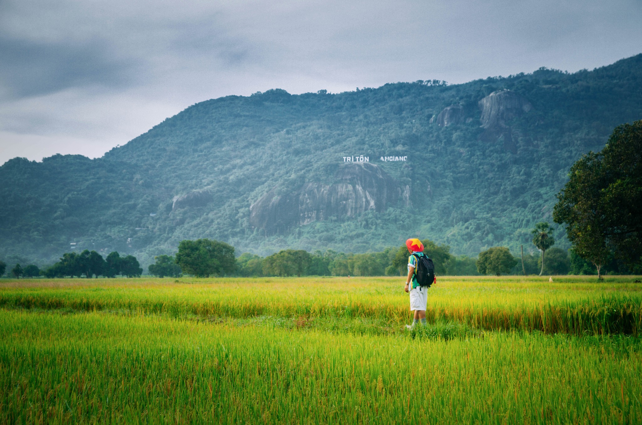 62 ng&agrave;y xuy&ecirc;n Việt, ch&agrave;ng trai g&acirc;y ấn tượng với những bức ảnh đẹp như tranh - Ảnh 6.