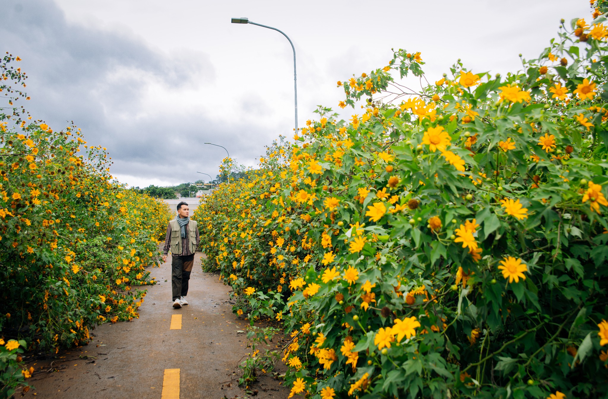 62 ng&agrave;y xuy&ecirc;n Việt, ch&agrave;ng trai g&acirc;y ấn tượng với những bức ảnh đẹp như tranh - Ảnh 3.