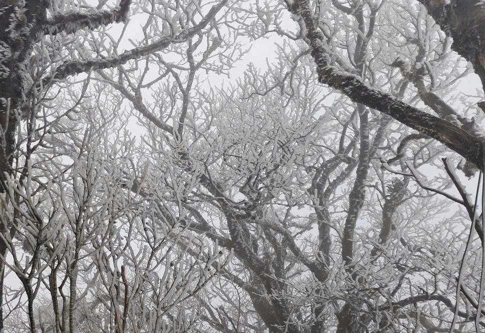 Miền Bắc chìm trong rét đậm, rét hại, vùng núi cao dưới 3 độ C - Ảnh 1.