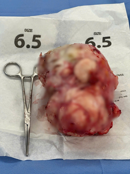 - Ảnh 1. - Ảnh 1.