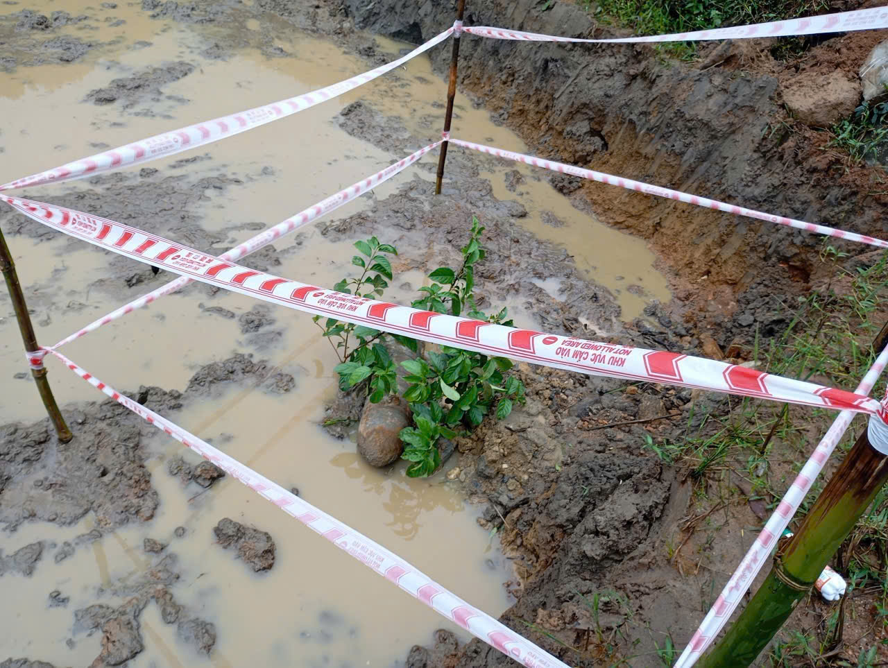 Quảng Ngãi: Làm rẫy, phát hiện quả bom nặng 50 kg tồn sót sau chiến tranh - Ảnh 2. Quảng Ngãi: Làm rẫy, phát hiện quả bom nặng 50 kg tồn sót sau chiến tranh - Ảnh 2.