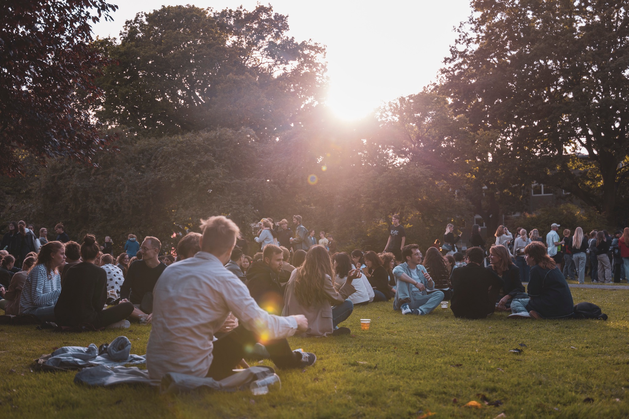 Hàng trăm suất du học miễn phí châu Âu, châu Mỹ, châu Á cho người Việt - Ảnh 2.