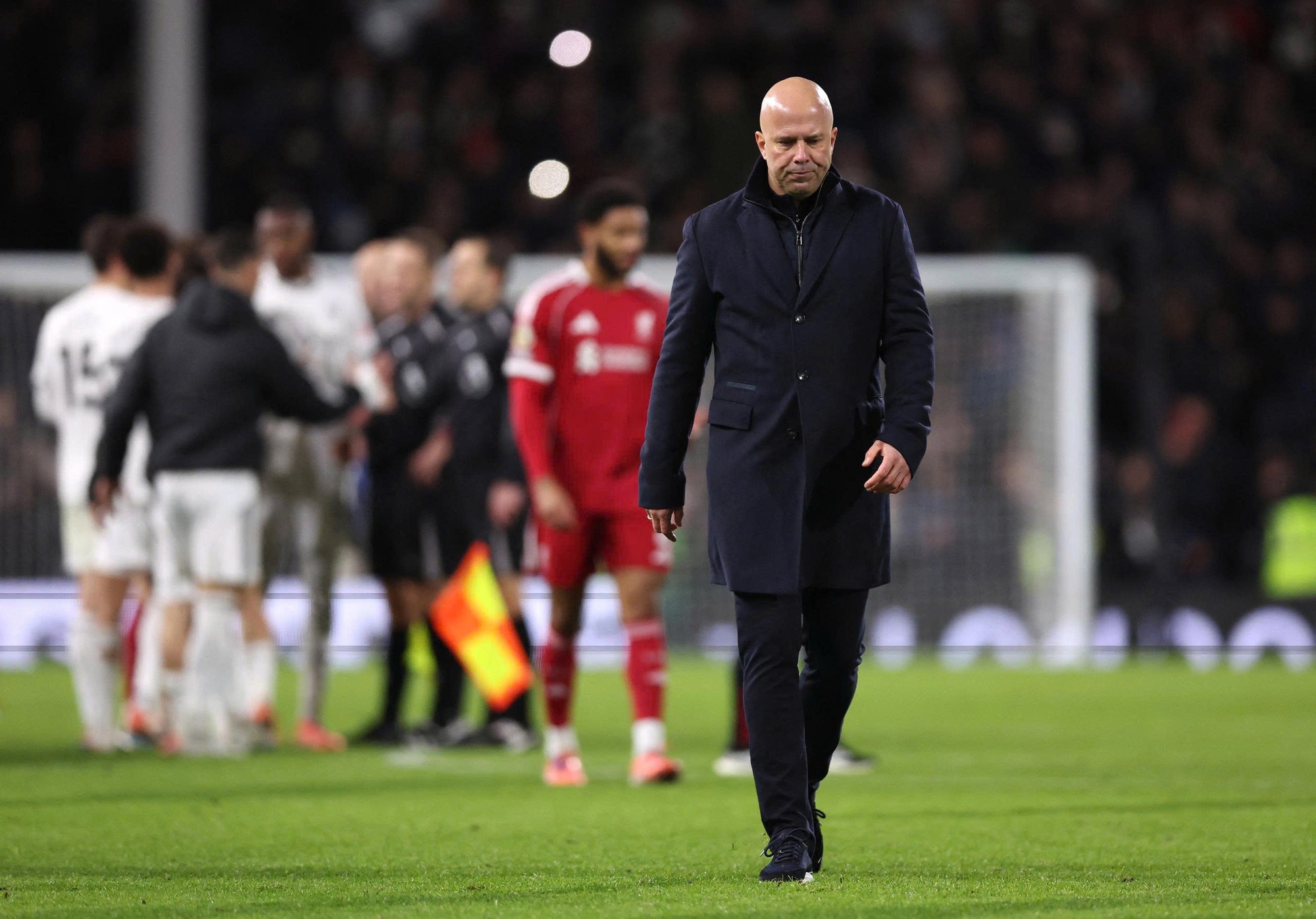 - Ảnh 1. - Ảnh 1.