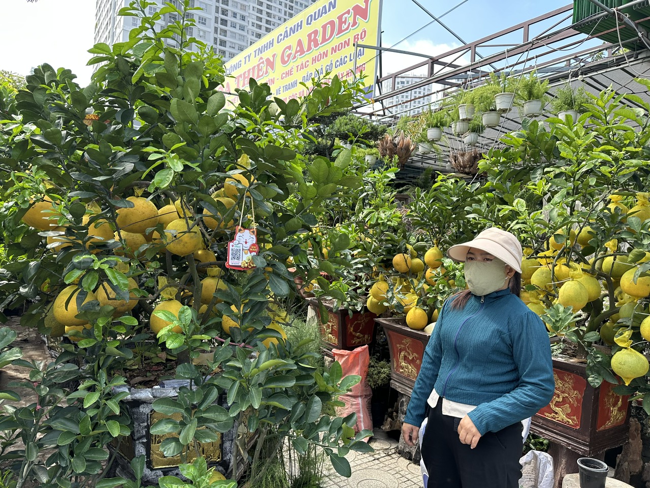 Hoa tết tấp nập xuống phố, gi&aacute; kh&ocirc;ng tăng - Ảnh 2.