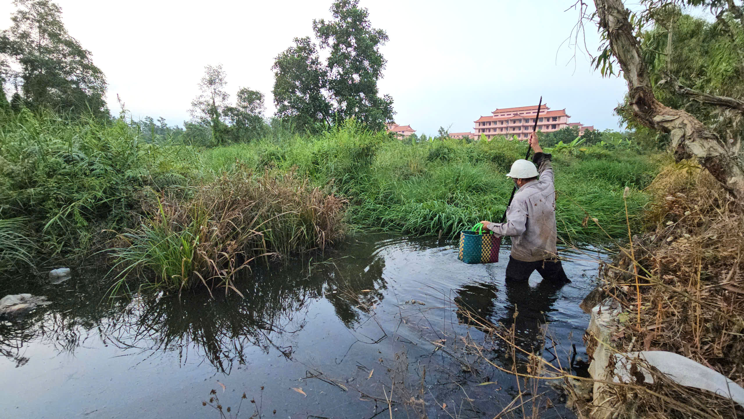 Mưu sinh bằng rau choại:Những phận đời tự lực c&aacute;nh sinh b&ecirc;n lề đường Trần Văn Gi&agrave;u - Ảnh 3.