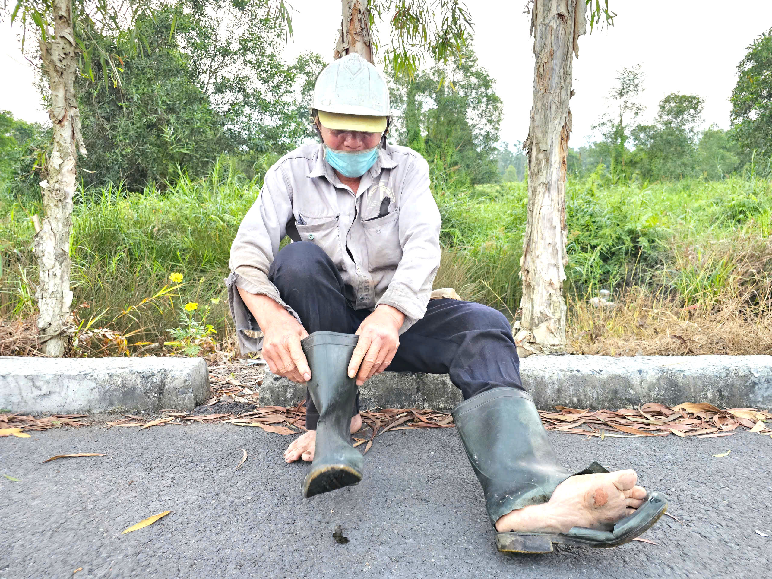 Mưu sinh bằng rau choại:Những phận đời tự lực c&aacute;nh sinh b&ecirc;n lề đường Trần Văn Gi&agrave;u - Ảnh 2.