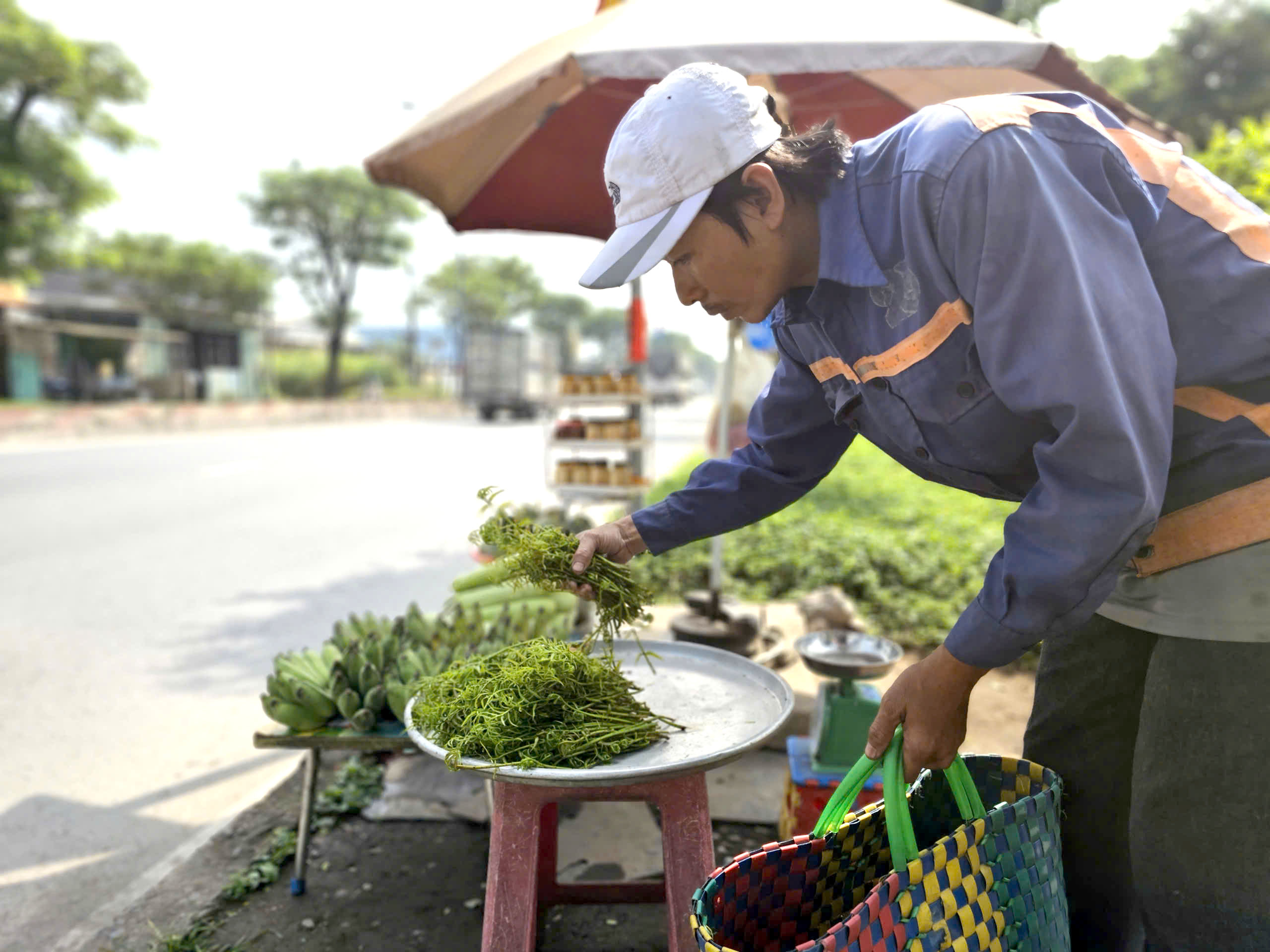 Mưu sinh bằng rau choại:Những phận đời tự lực c&aacute;nh sinh b&ecirc;n lề đường Trần Văn Gi&agrave;u - Ảnh 10.