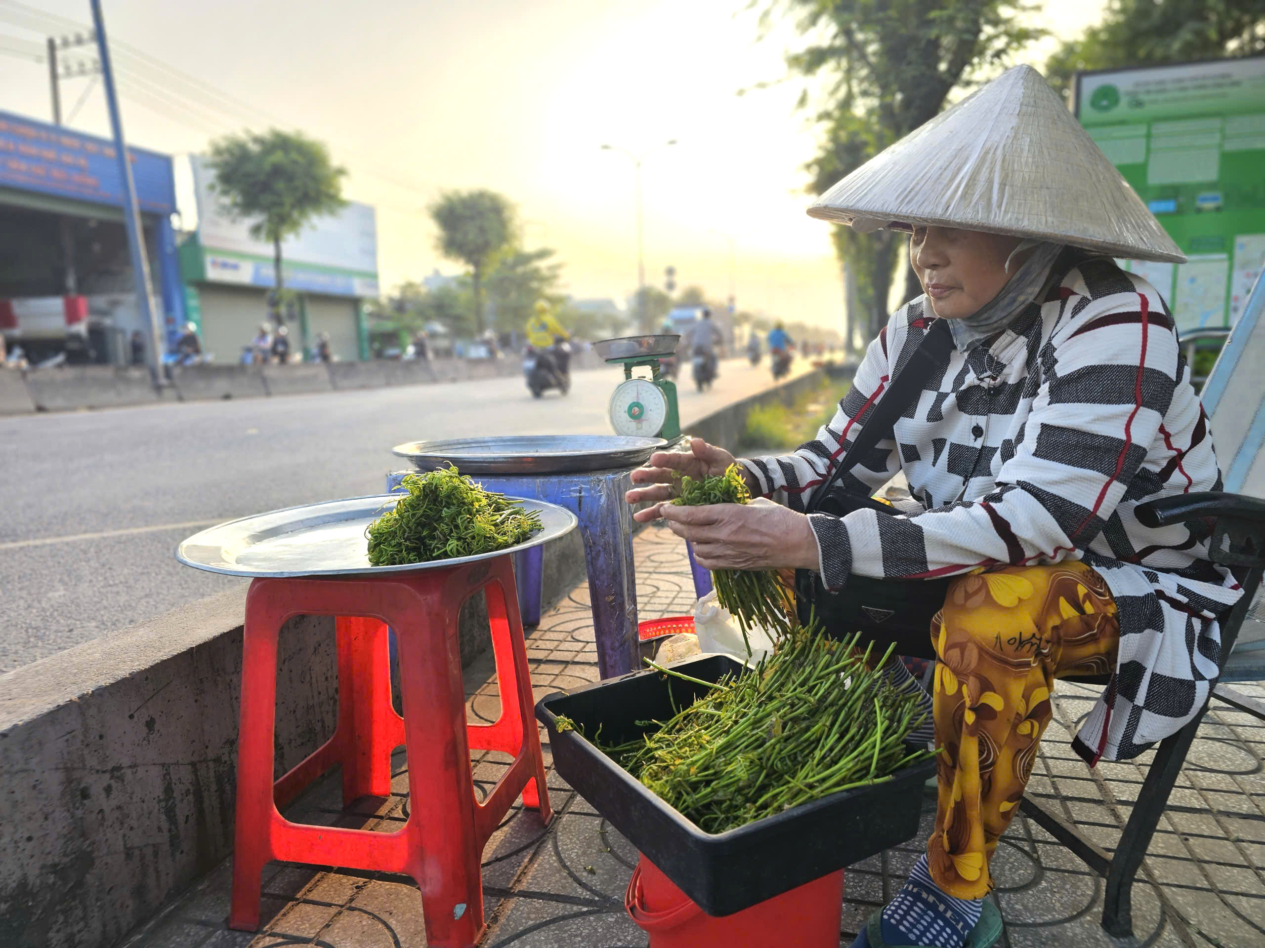 Mưu sinh bằng rau choại:Những phận đời tự lực c&aacute;nh sinh b&ecirc;n lề đường Trần Văn Gi&agrave;u - Ảnh 9.