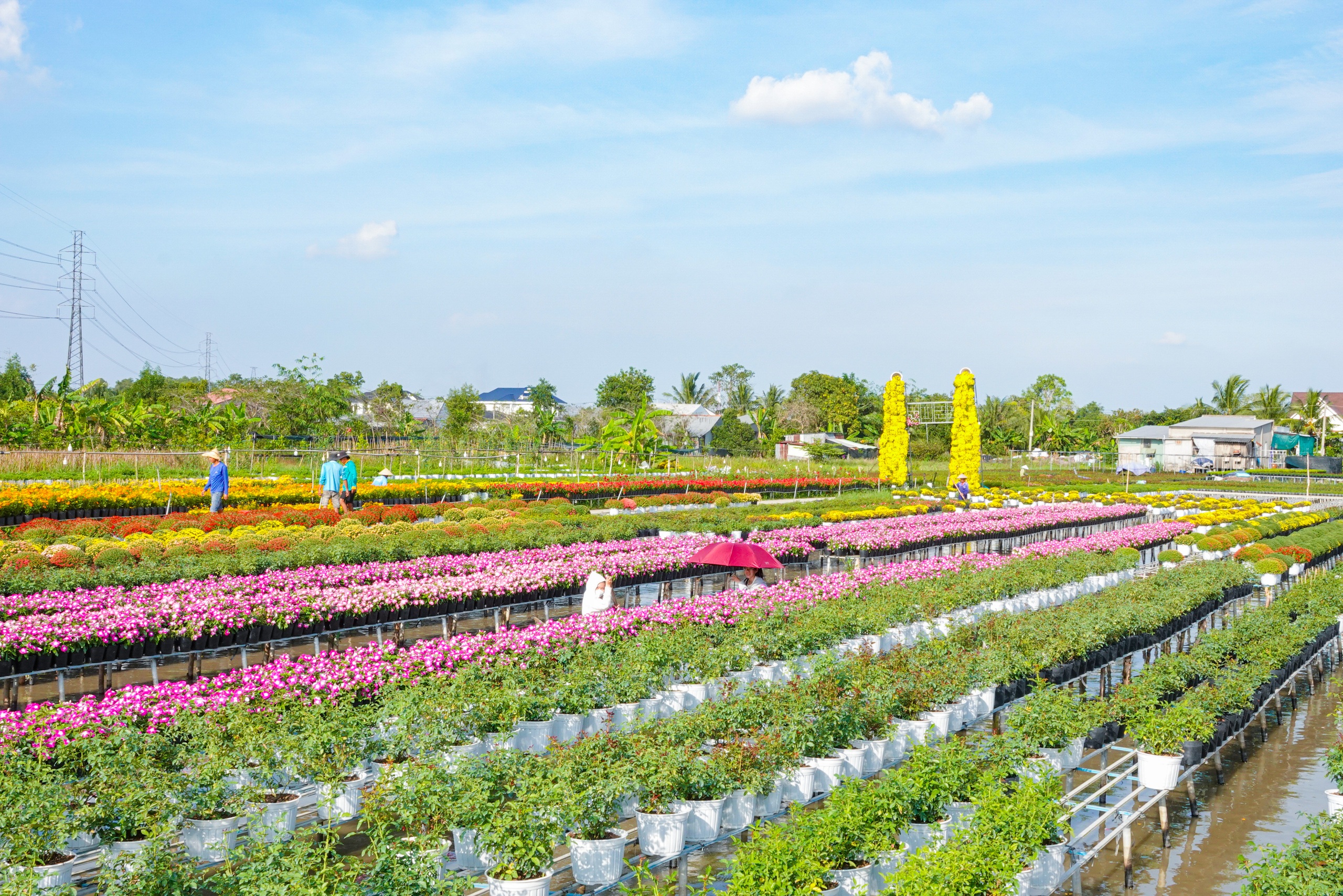 Du kh&aacute;ch th&iacute;ch th&uacute; kỹ thuật trồng hoa 'kh&ocirc;ng chạm đất' ở l&agrave;ng hoa Sa Đ&eacute;c- Ảnh 7.