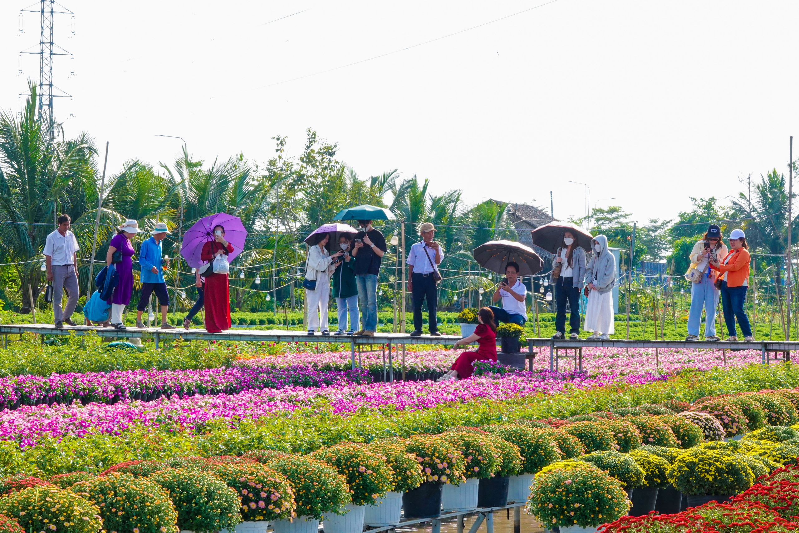 Du kh&aacute;ch th&iacute;ch th&uacute; kỹ thuật trồng hoa 'kh&ocirc;ng chạm đất' ở l&agrave;ng hoa Sa Đ&eacute;c- Ảnh 1.