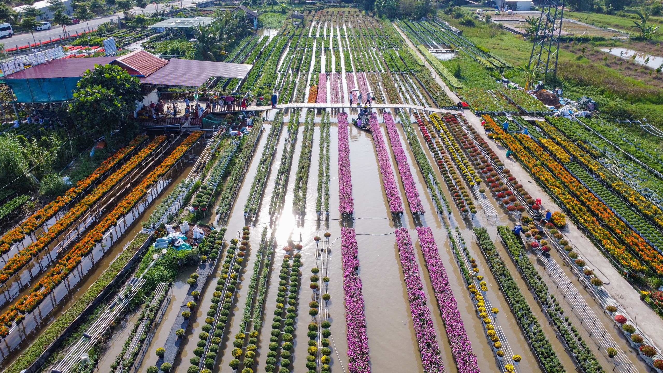 Du kh&aacute;ch th&iacute;ch th&uacute; kỹ thuật trồng hoa 'kh&ocirc;ng chạm đất' ở l&agrave;ng hoa Sa Đ&eacute;c- Ảnh 2.