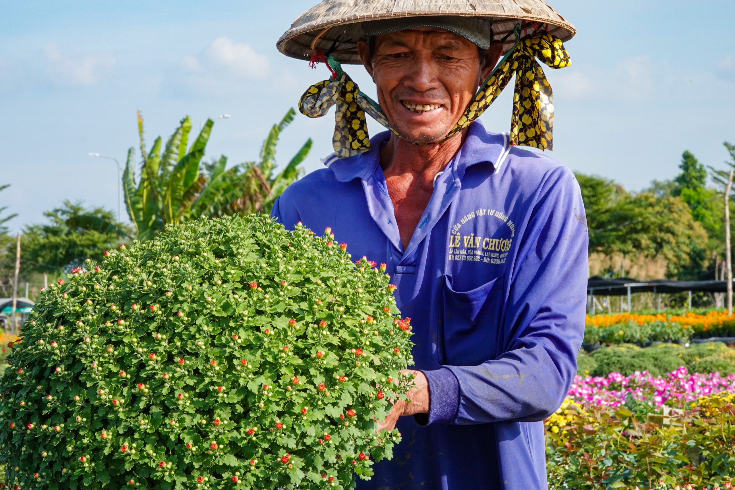 Du kh&aacute;ch th&iacute;ch th&uacute; kỹ thuật trồng hoa 'kh&ocirc;ng chạm đất' ở l&agrave;ng hoa Sa Đ&eacute;c- Ảnh 6.