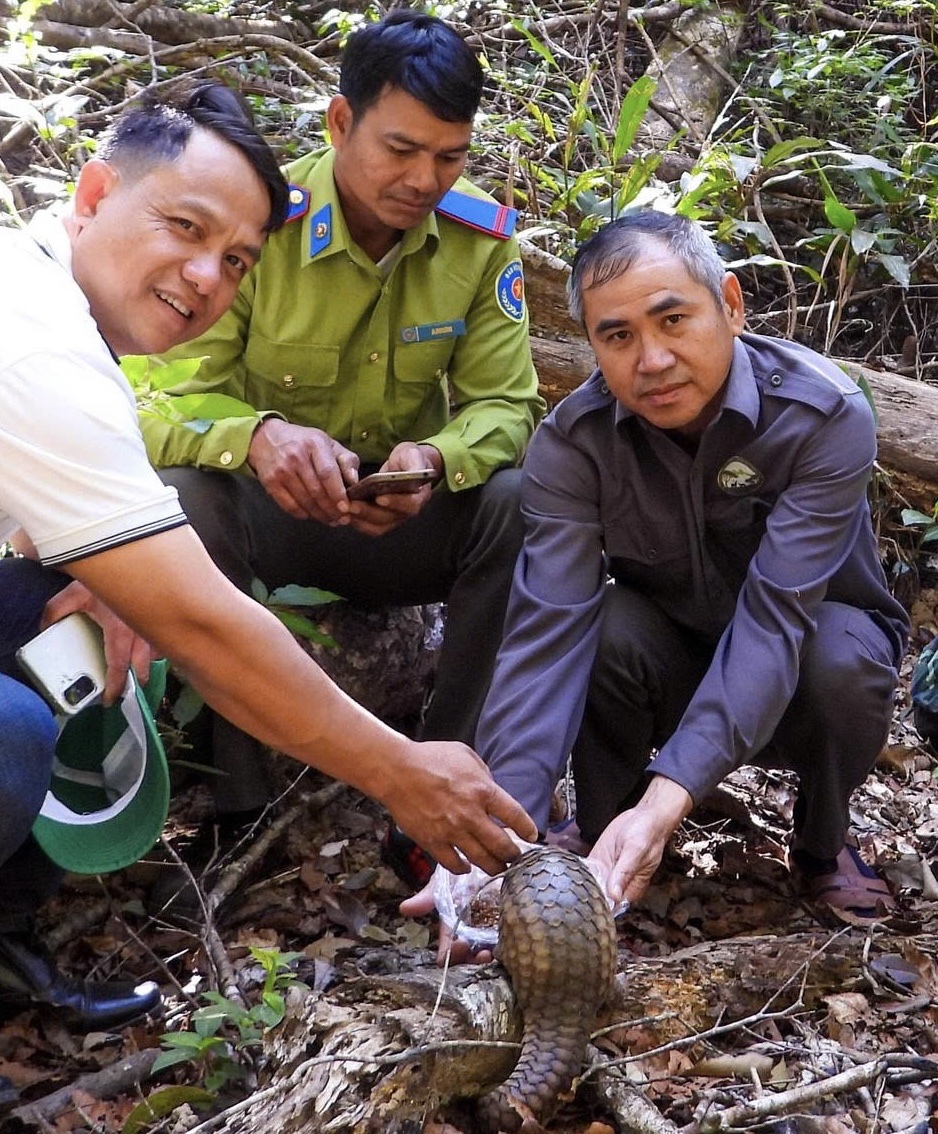 Thả động vật quý hiếm về Vườn Quốc gia Kon Ka Kinh - Ảnh 1. Thả động vật quý hiếm về Vườn Quốc gia Kon Ka Kinh - Ảnh 1.