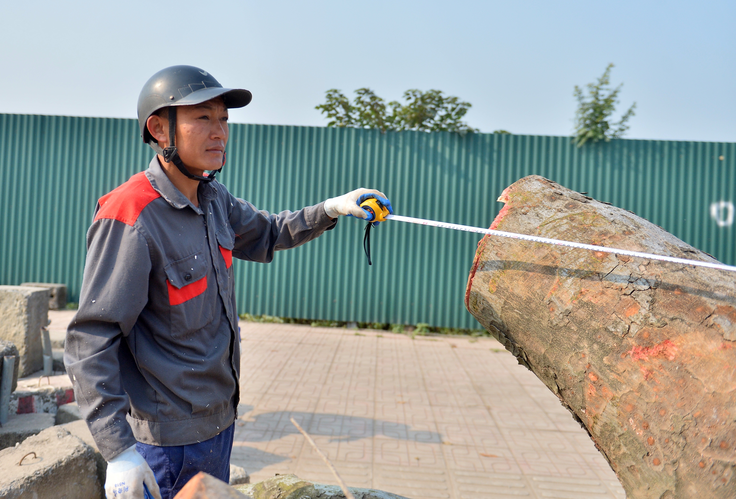 H&agrave; Nội: H&agrave;ng x&agrave; cừ cổ thụ bị cưa phục vụ dự &aacute;n đường gần 3.400 tỉ - Ảnh 8.