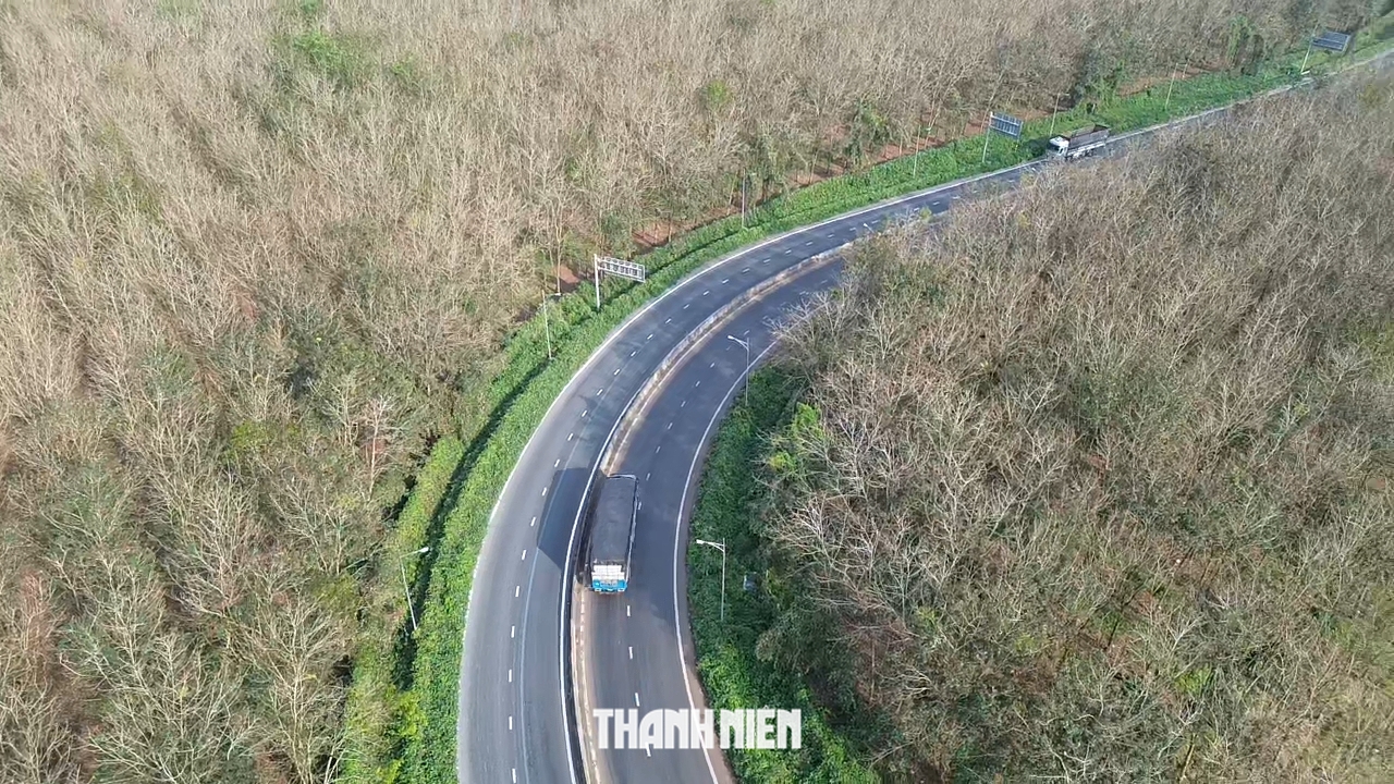 Cuối đông, cao tốc Phan Thiết - Dầu Giây qua rừng cao su đẹp 'lạnh lùng' - Ảnh 3.