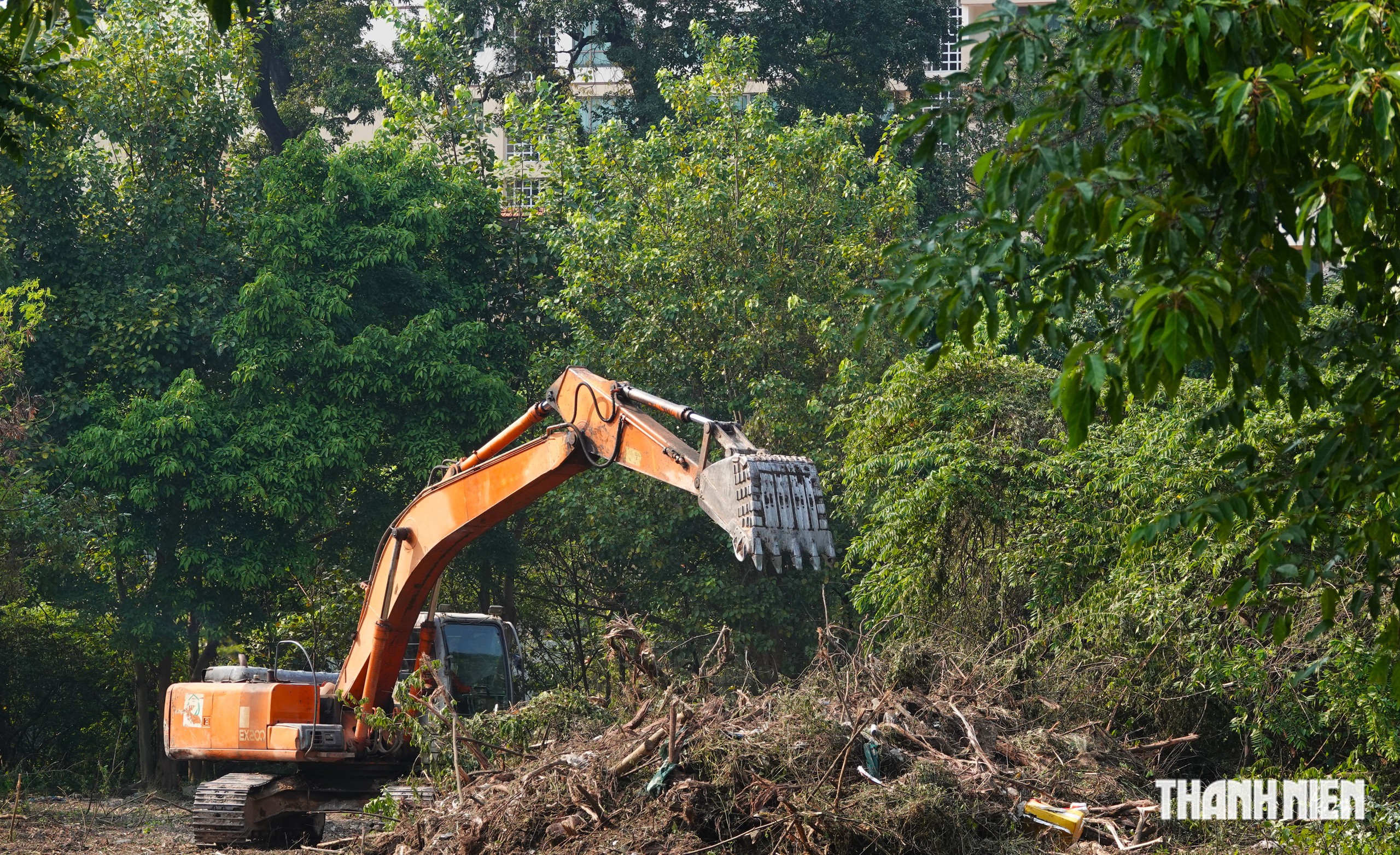 Vì sao cần chiến lược khi tận dụng 'đất vàng' bỏ trống ở TP.HCM? - Ảnh 1. Vì sao cần chiến lược khi tận dụng 'đất vàng' bỏ trống ở TP.HCM? - Ảnh 1.
