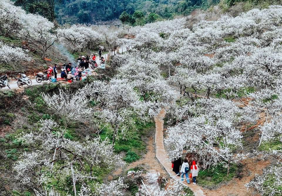 Sơn La ghi 'dấu ấn kép' trên bản đồ du lịch châu Á - Ảnh 4.