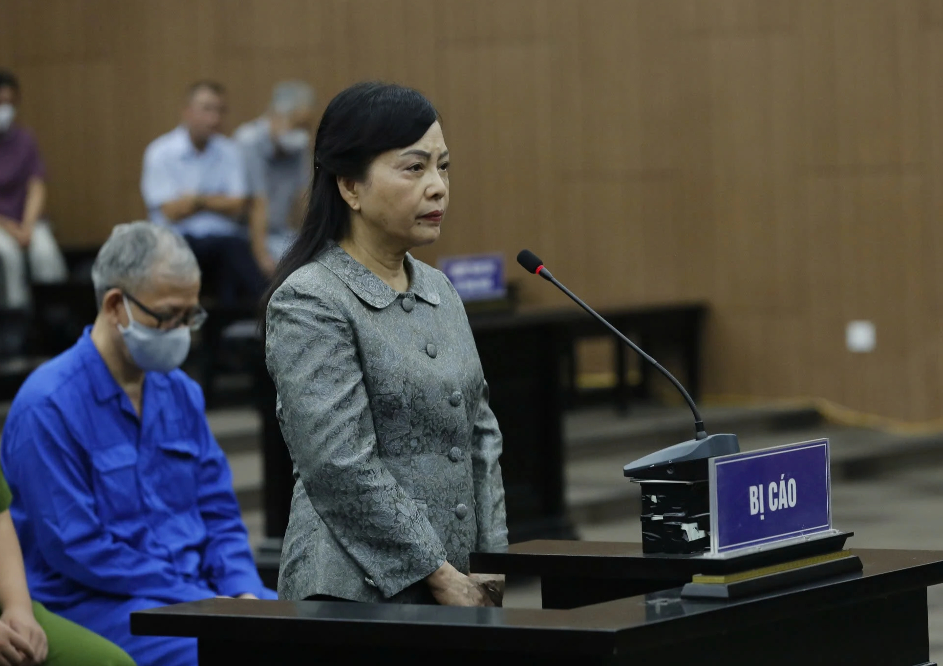 Bà Nguyễn Thị Kim Tiến được đề nghị giảm đến 2 năm tù, chưa đủ xuống án treo- Ảnh 1.