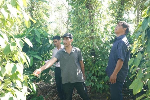 Thoát nghèo nhờ 'cần câu' từ NHCSXH - Ảnh 1.