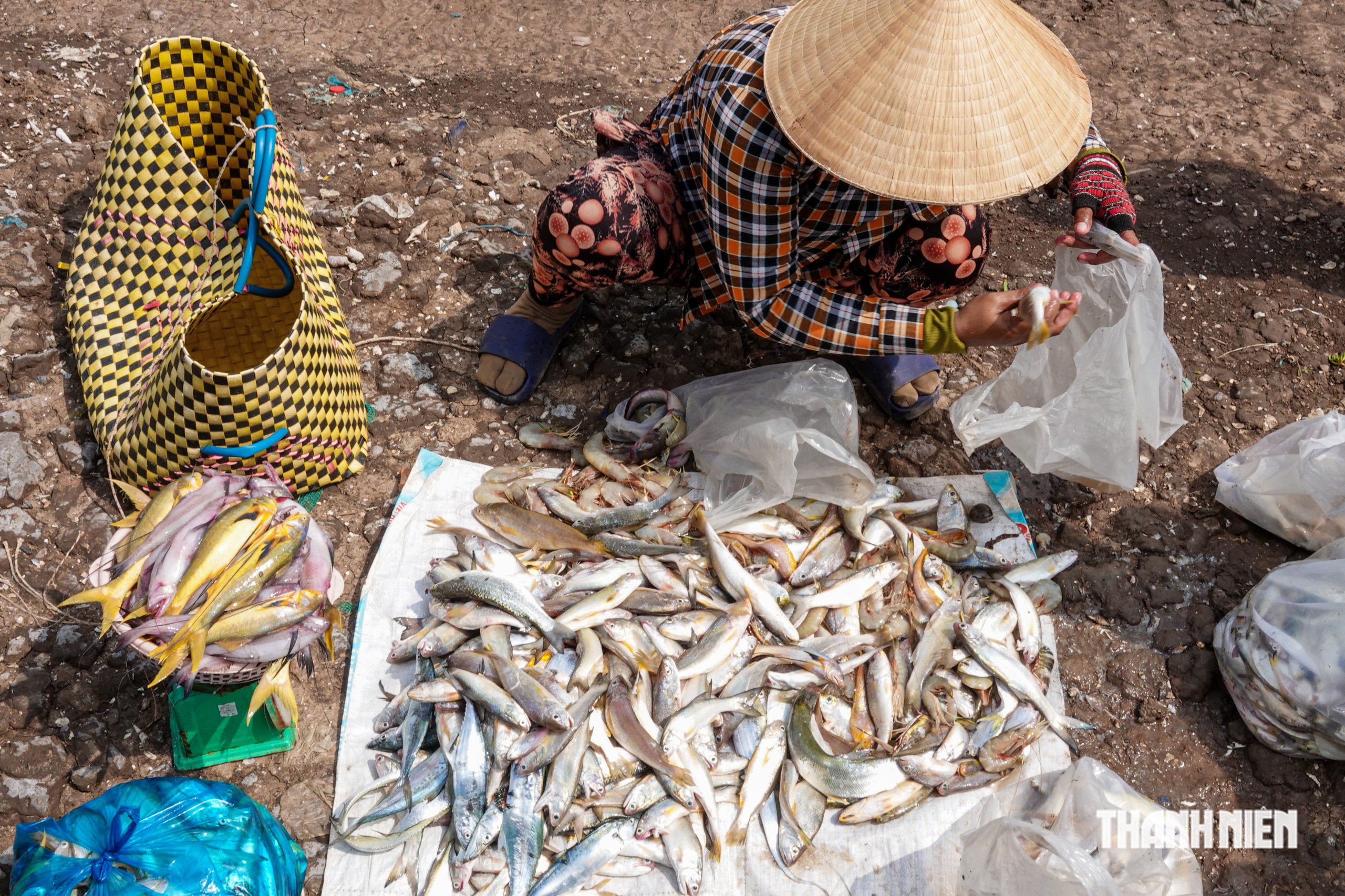 Cần Thơ có xóm ghe giữa rừng phòng hộ phường Vĩnh Châu- Ảnh 4.