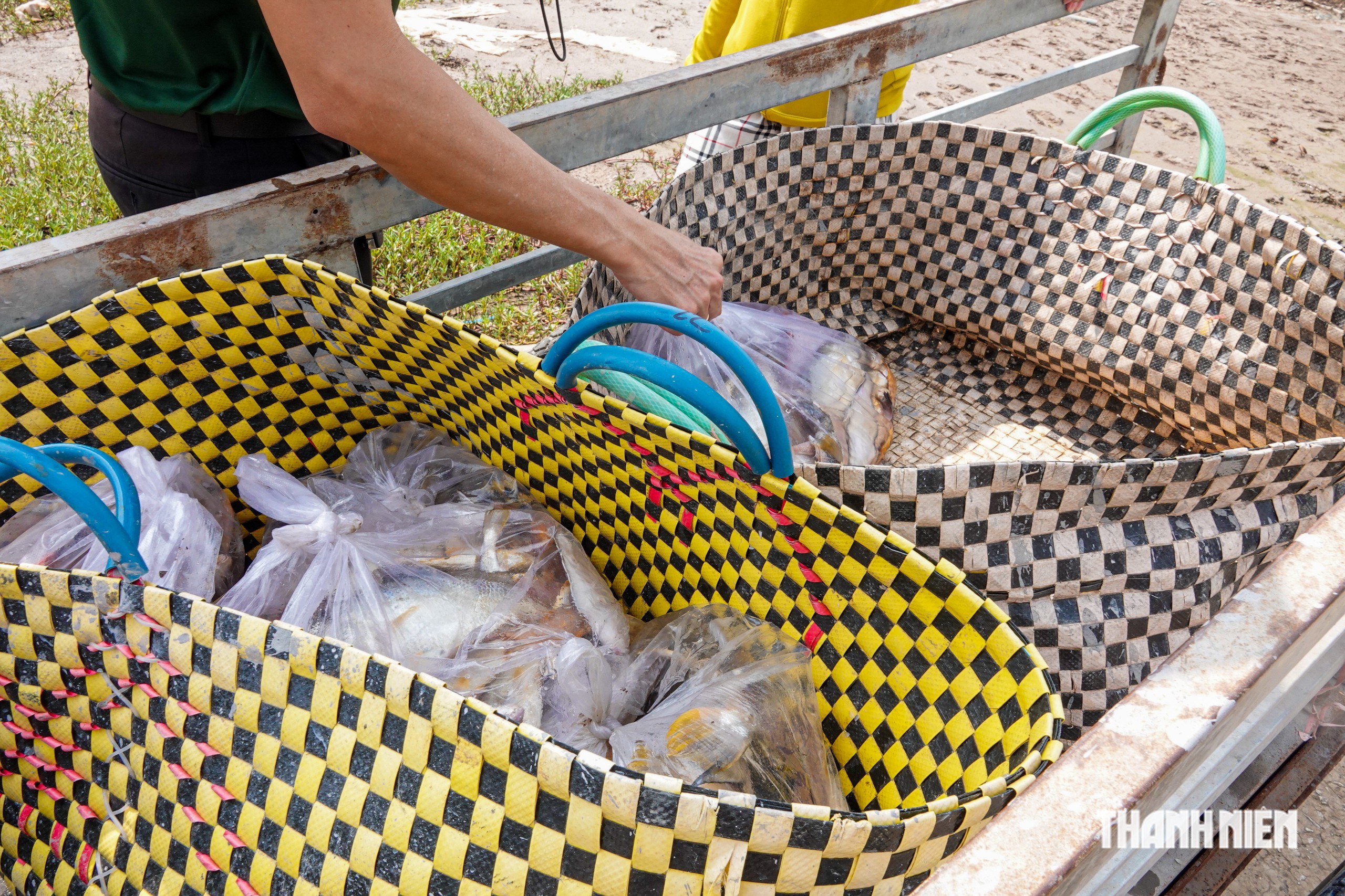 Cần Thơ có xóm ghe giữa rừng phòng hộ phường Vĩnh Châu- Ảnh 7.