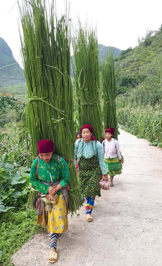 Chị Cầu dệt lanh, đấu tranh v&igrave; b&igrave;nh đẳng giới tr&ecirc;n cao nguy&ecirc;n đ&aacute; - Ảnh 4.