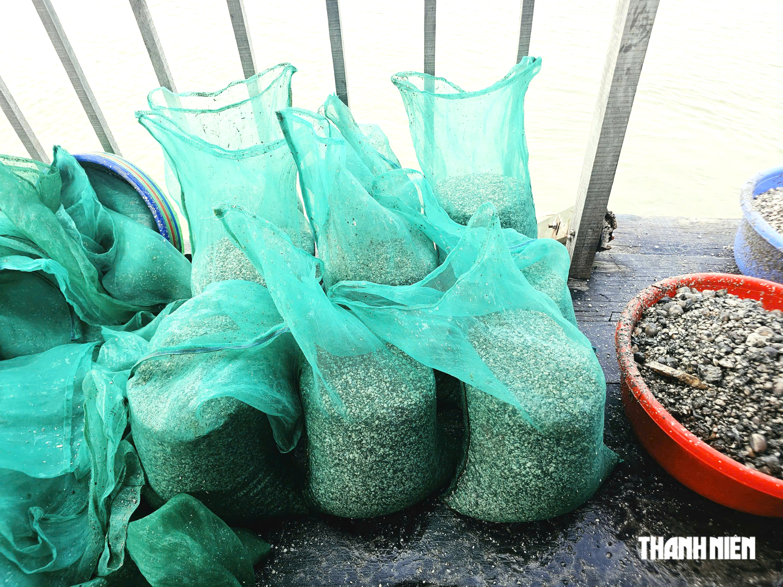 Độc đáo nghề rải nghêu giống ở cầu Cửa Lấp - Ảnh 7.