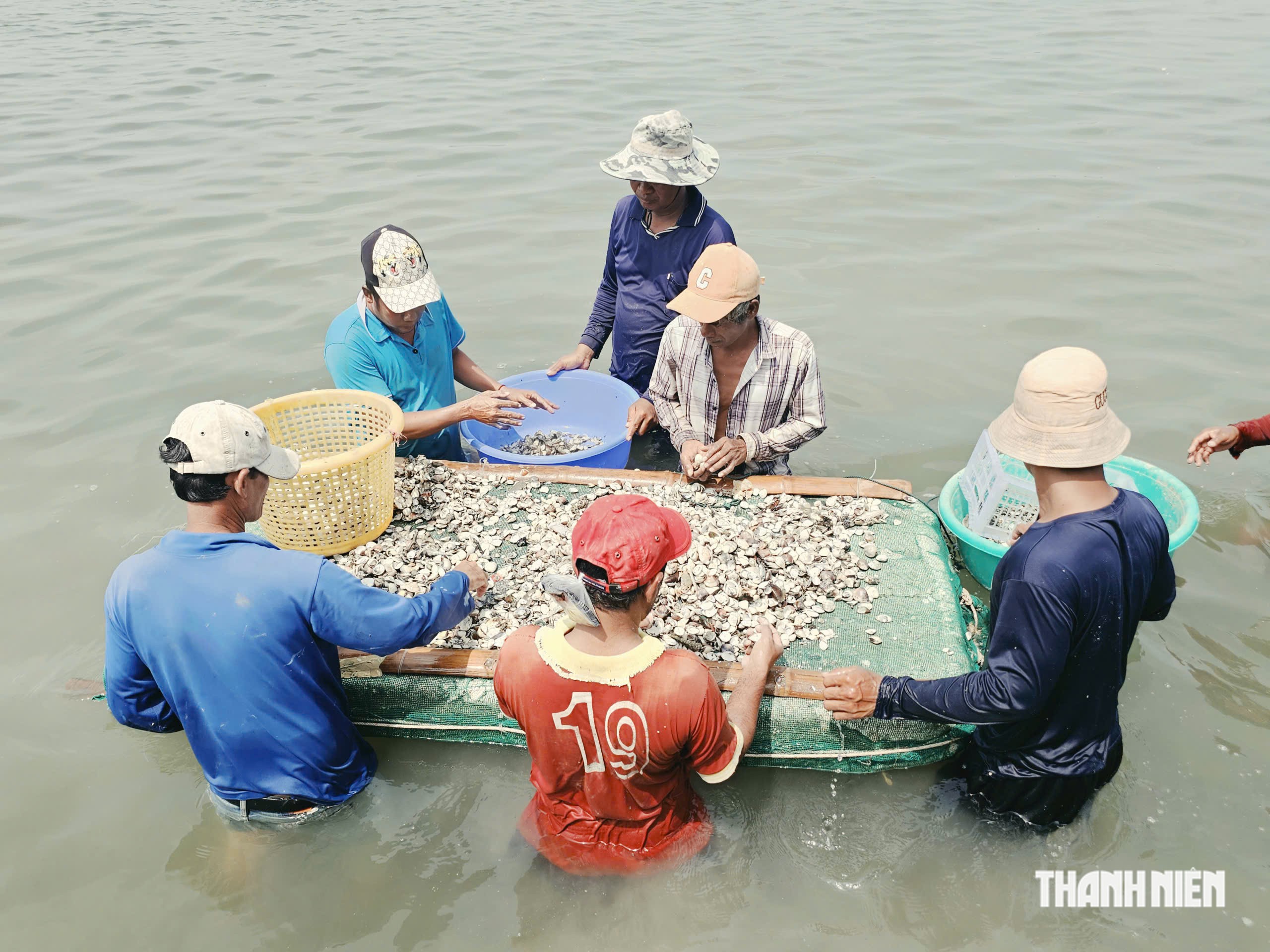 Độc đáo nghề rải nghêu giống ở cầu Cửa Lấp - Ảnh 13.