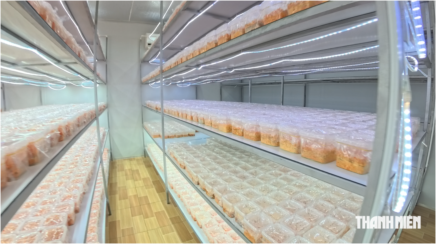 Người trẻ khởi nghiệp, làm kinh tế: Kỳ vọng thêm động lực để phát triển bền vững - Ảnh 5.