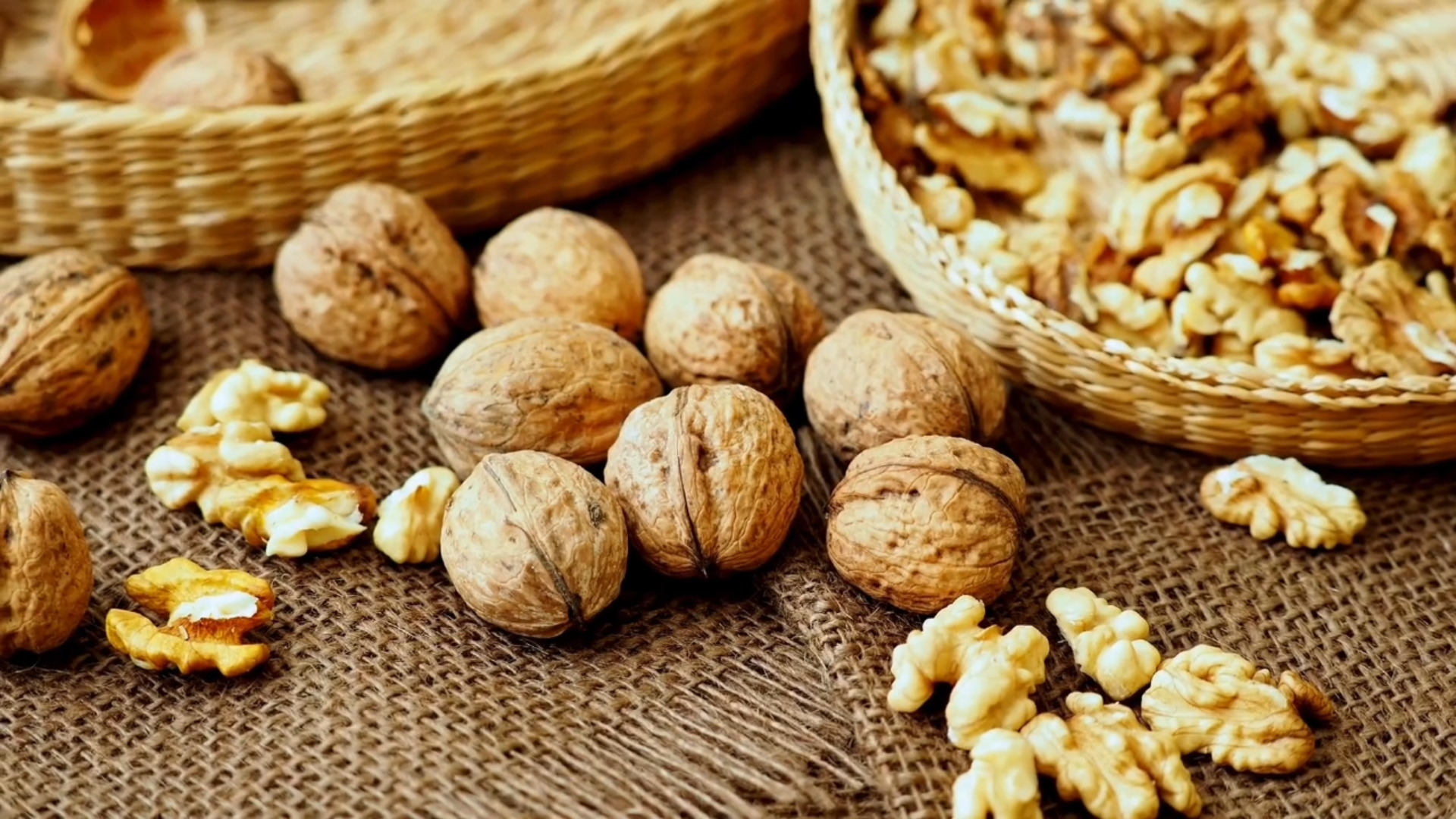 Lợi &iacute;ch bất ngờ của hạt &oacute;c ch&oacute; li&ecirc;n quan đến giấc ngủ  - Ảnh 1.