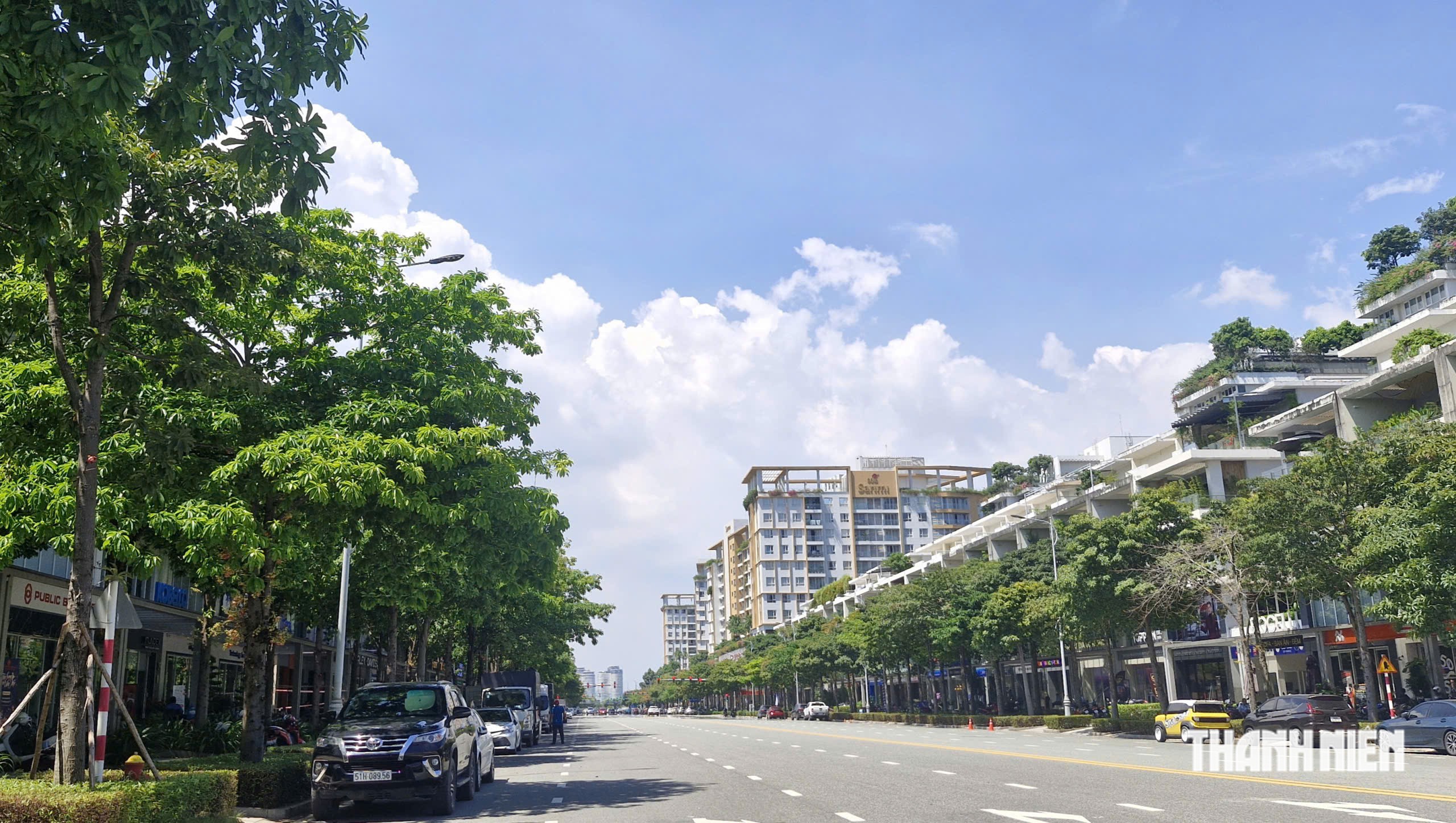 Đi tìm 'mùa thu' ở TP.HCM, nhiều người ngơ ngác: Lá vàng mộng mơ đâu rồi? - Ảnh 7.