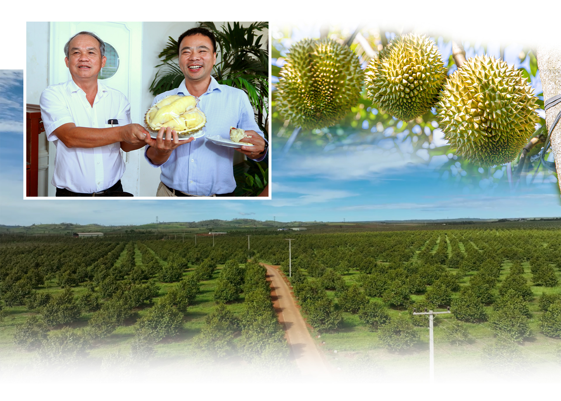 Doanh nhân Đoàn Nguyên Đức: Hơn 3 thập niên cùng nhịp đập kinh tế tư nhân Việt Nam - Ảnh 10.