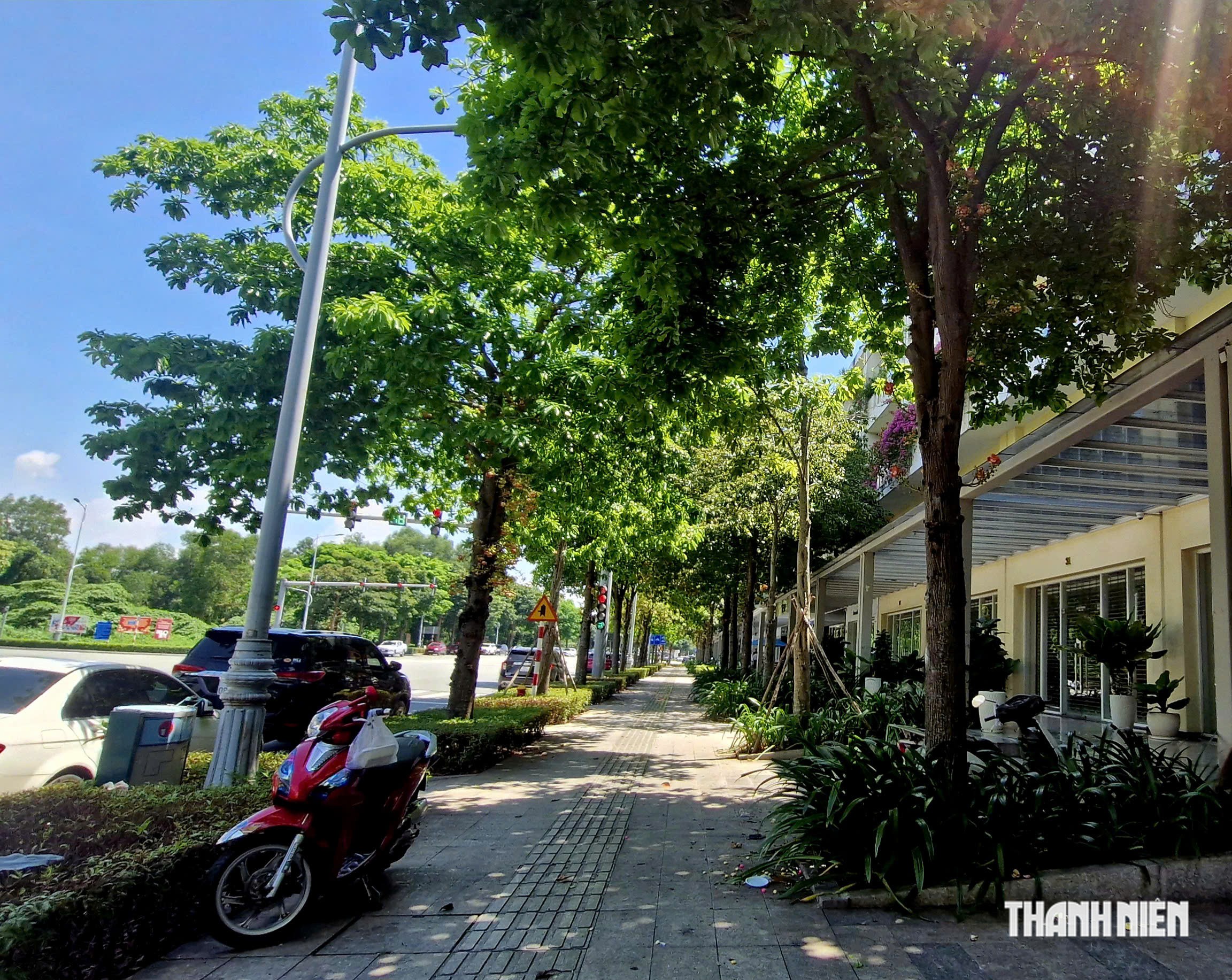 Đi tìm 'mùa thu' ở TP.HCM, nhiều người ngơ ngác: Lá vàng mộng mơ đâu rồi? - Ảnh 4.