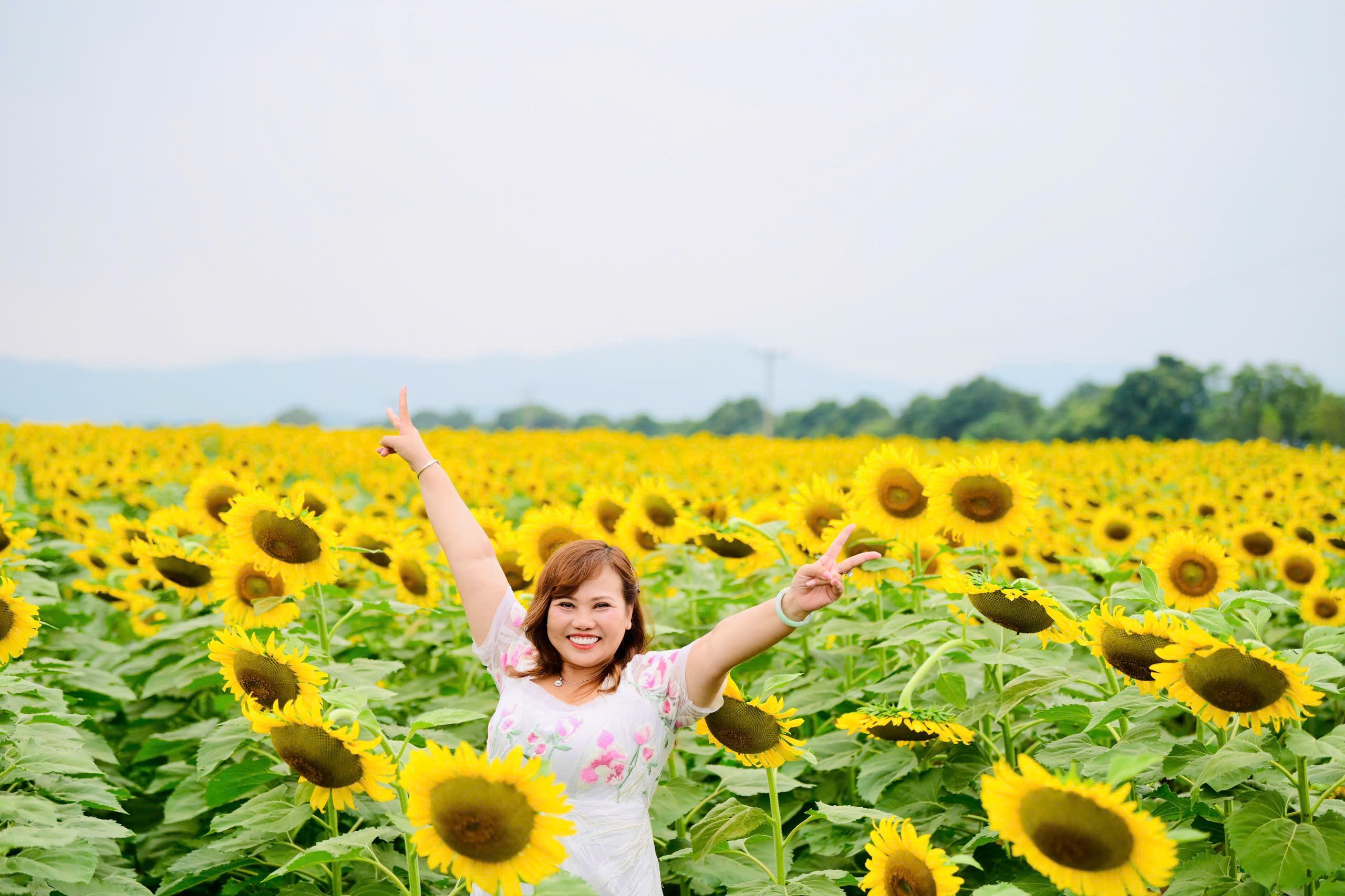 Mãn nhãn với cánh đồng hoa hướng dương vàng rực ở Nghệ An - Ảnh 5.